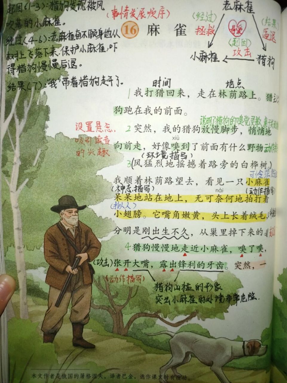 16《麻雀》课文批注#四年级上册语文#小学语文备课