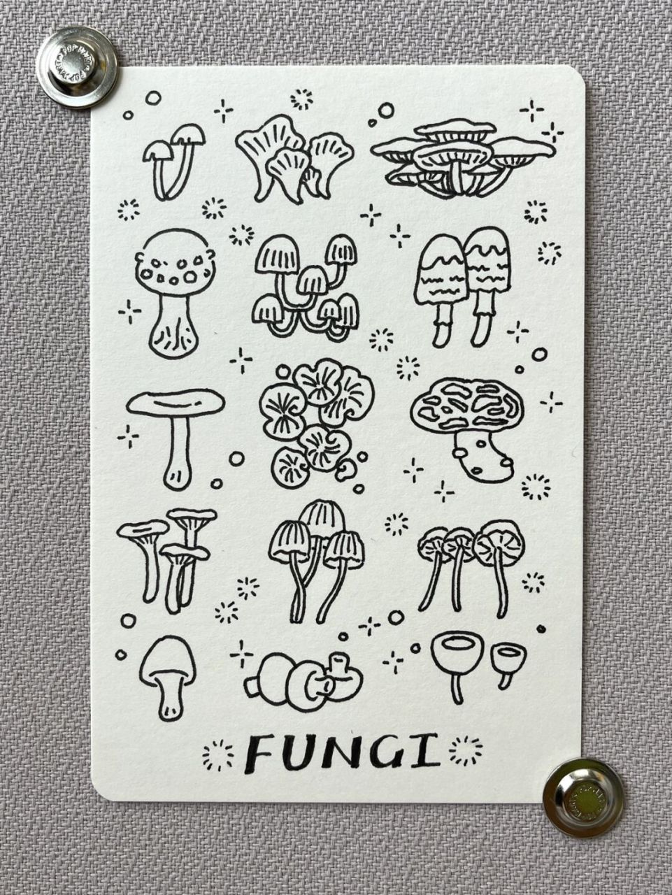 菌类类简笔画图片