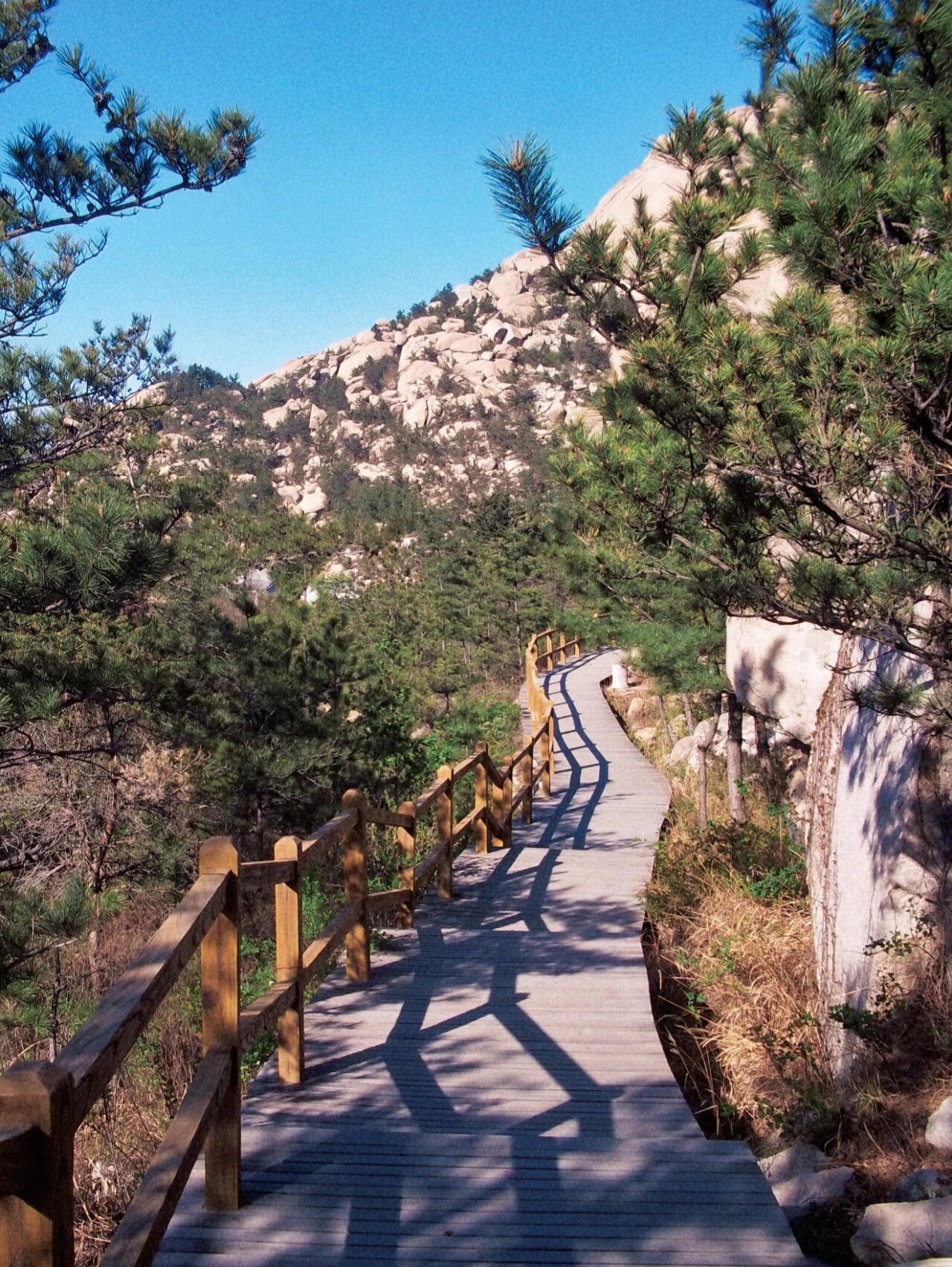 青岛二龙山旅游风景区图片