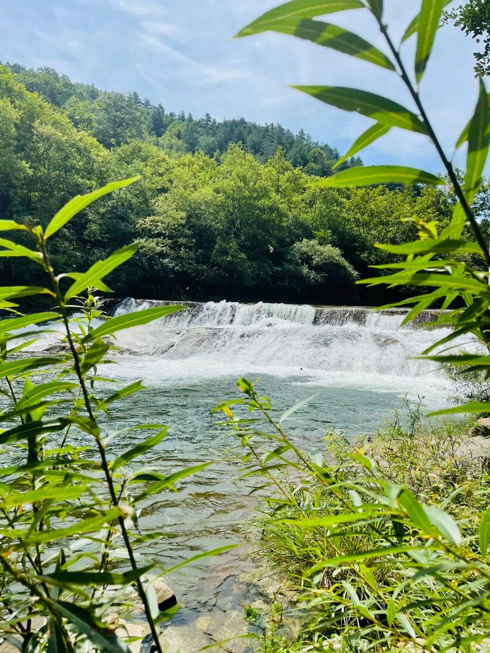 包邮区的避暑胜地|鹞落坪  鹞落坪地处大别山主峰,生态环境十分丰富