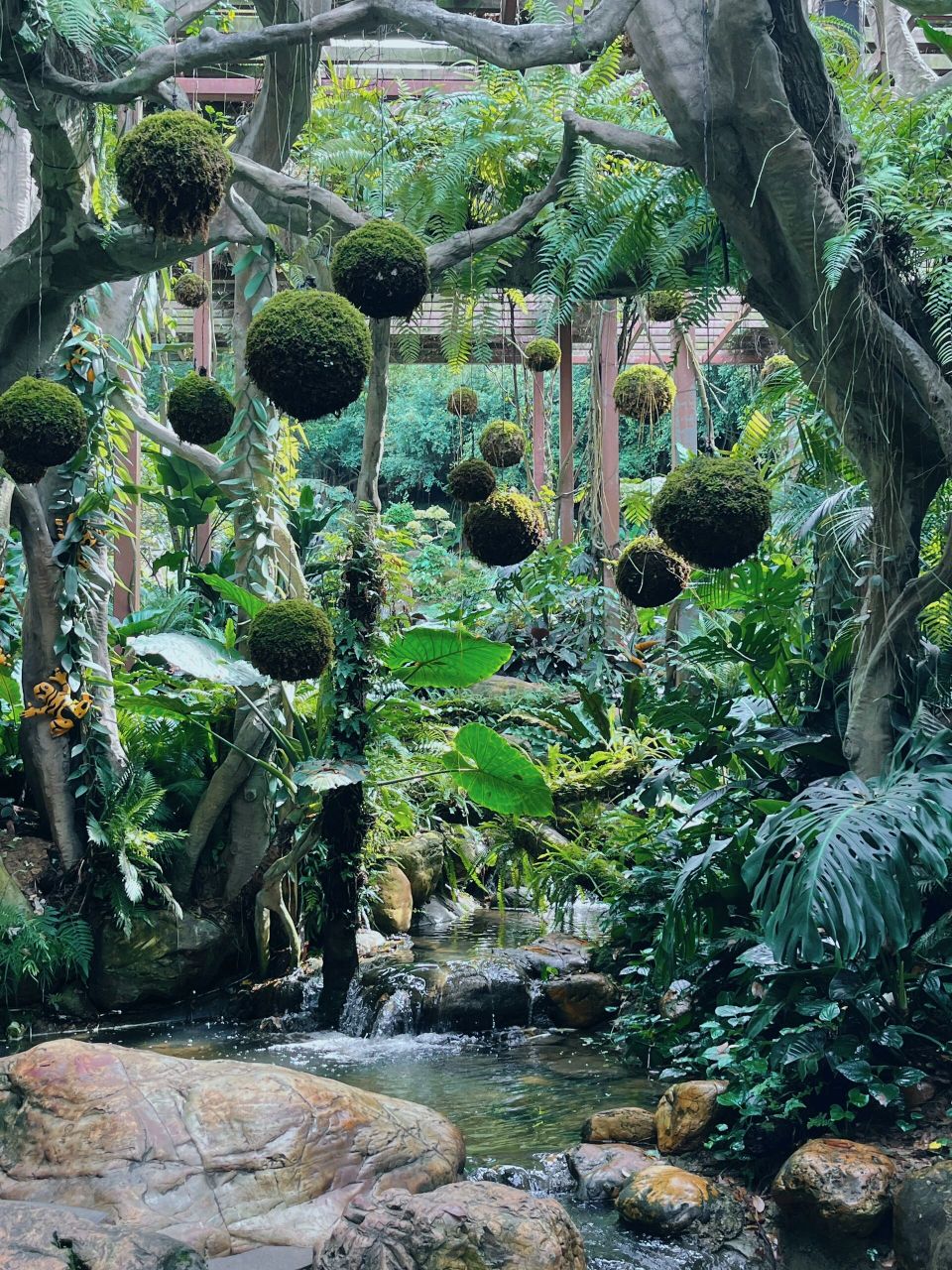 荫生植物园里仙气飘飘 好像绿野仙踪哇 蚊虫很多也很出片 值得一去