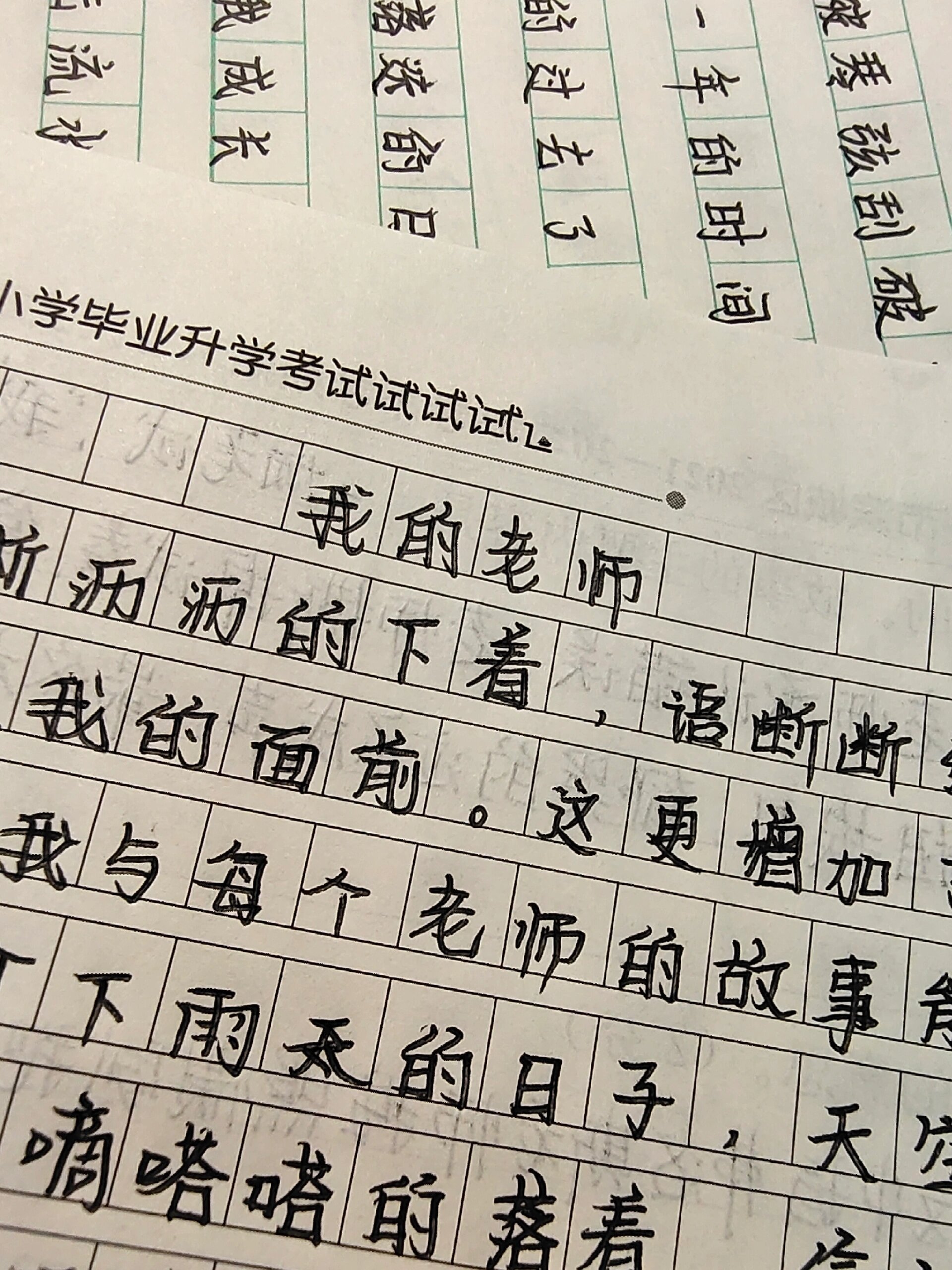 我的语文老师作文600字  第1张