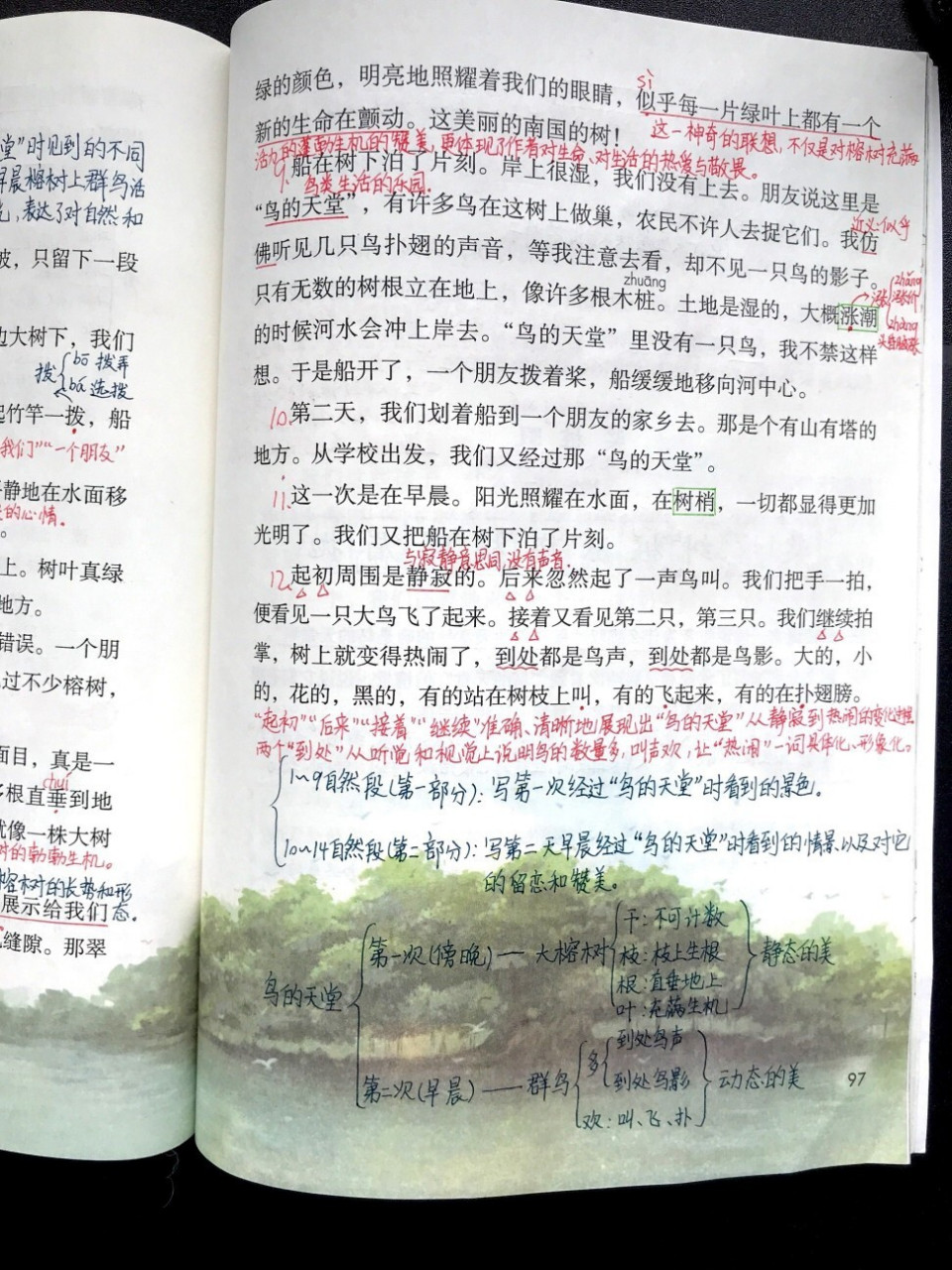 五年级上册课文23《鸟的天堂》超详细笔记 94学习目标 1.
