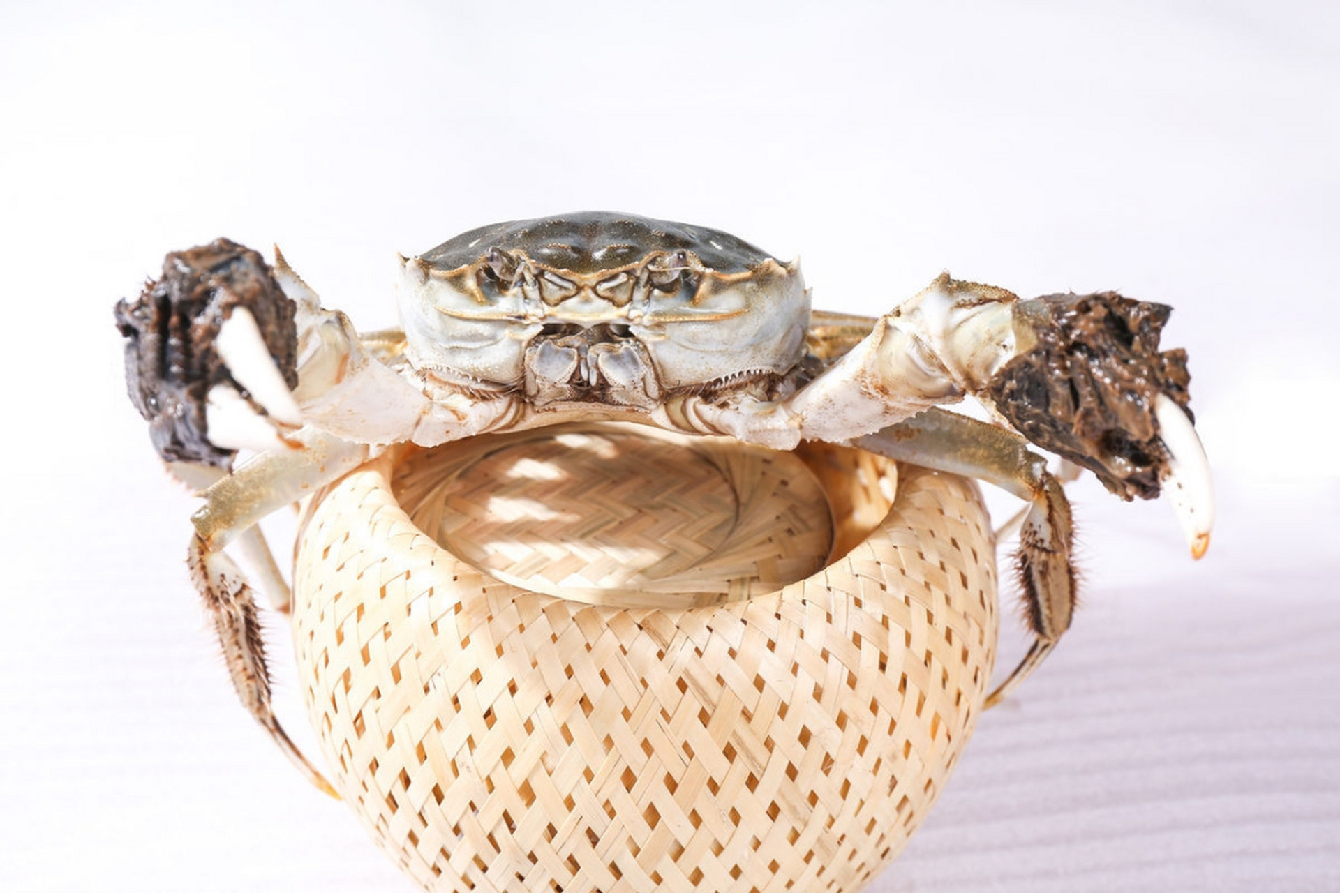 江苏省特产 - 阳澄湖大闸蟹 阳澄湖大闸蟹又名金爪蟹.产于苏州阳澄湖.