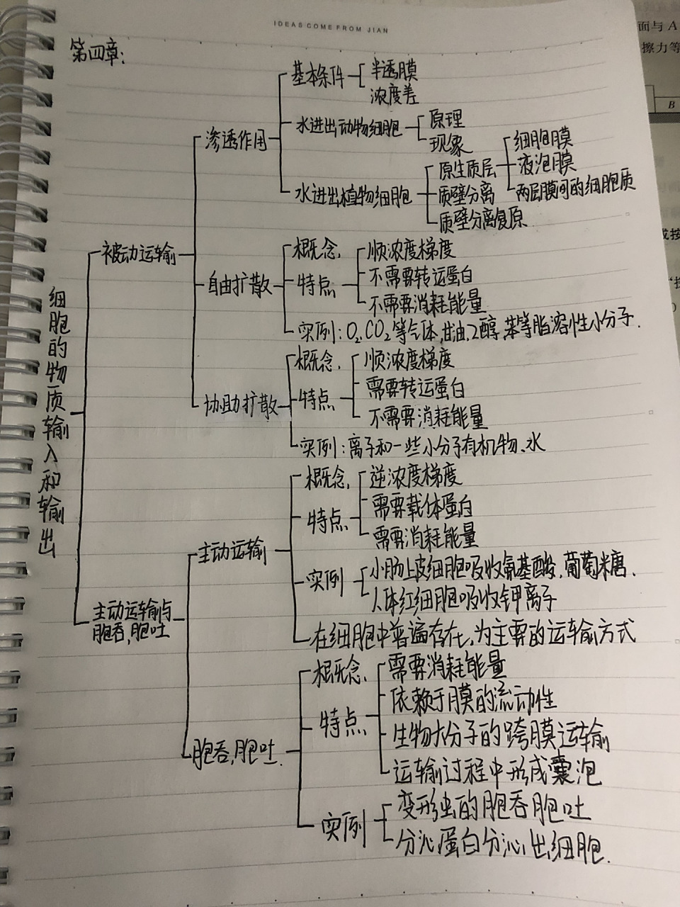 高一上必修一生物第四章思维导图