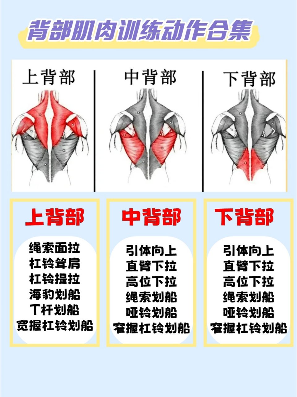 后背筋的位置图解图片