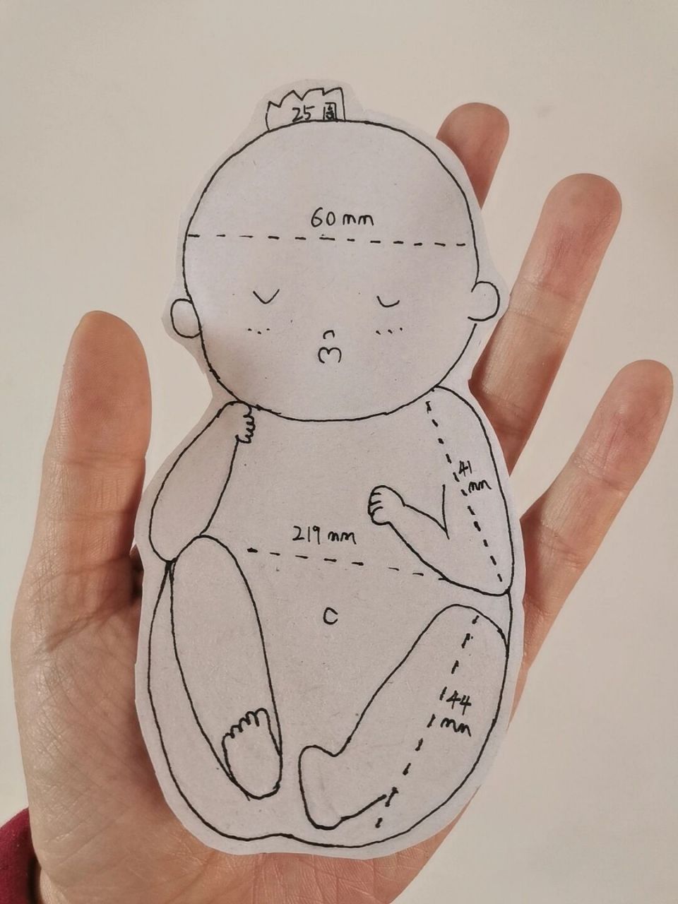 原来25周的宝宝这么小 小小的跟手掌差不多大 也太可爱了