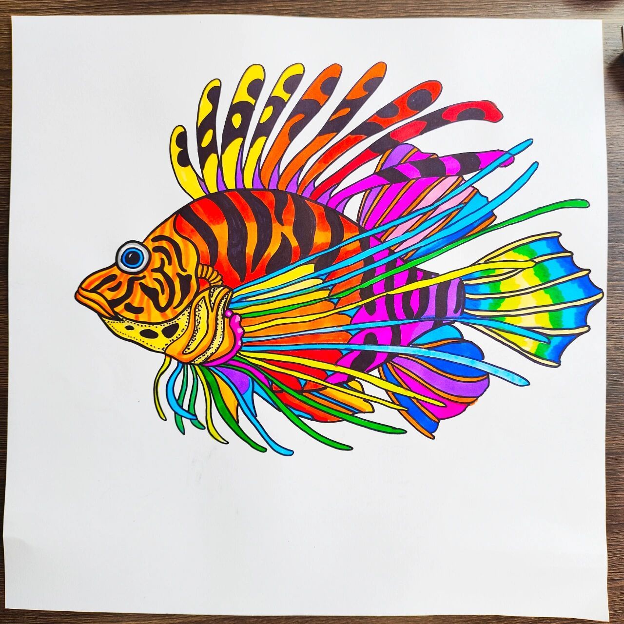 狮子鱼 创意画 这个狮子鱼简直不要太难画,但是奈何不住它的颜色很