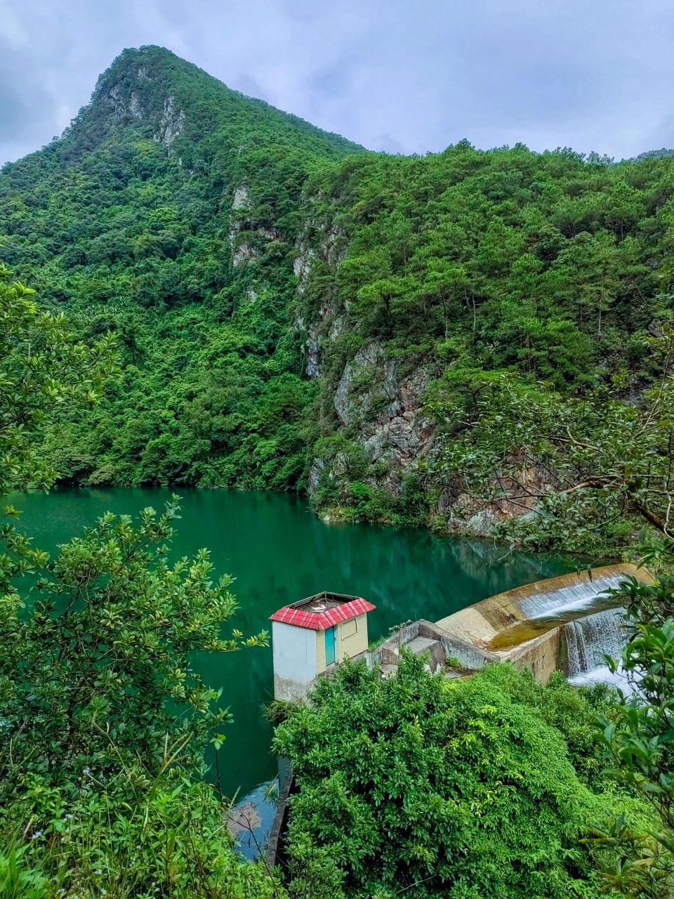 大明山亦称大鸣山,地处广西中部,分布于武鸣区与上林,马山和宾阳三县