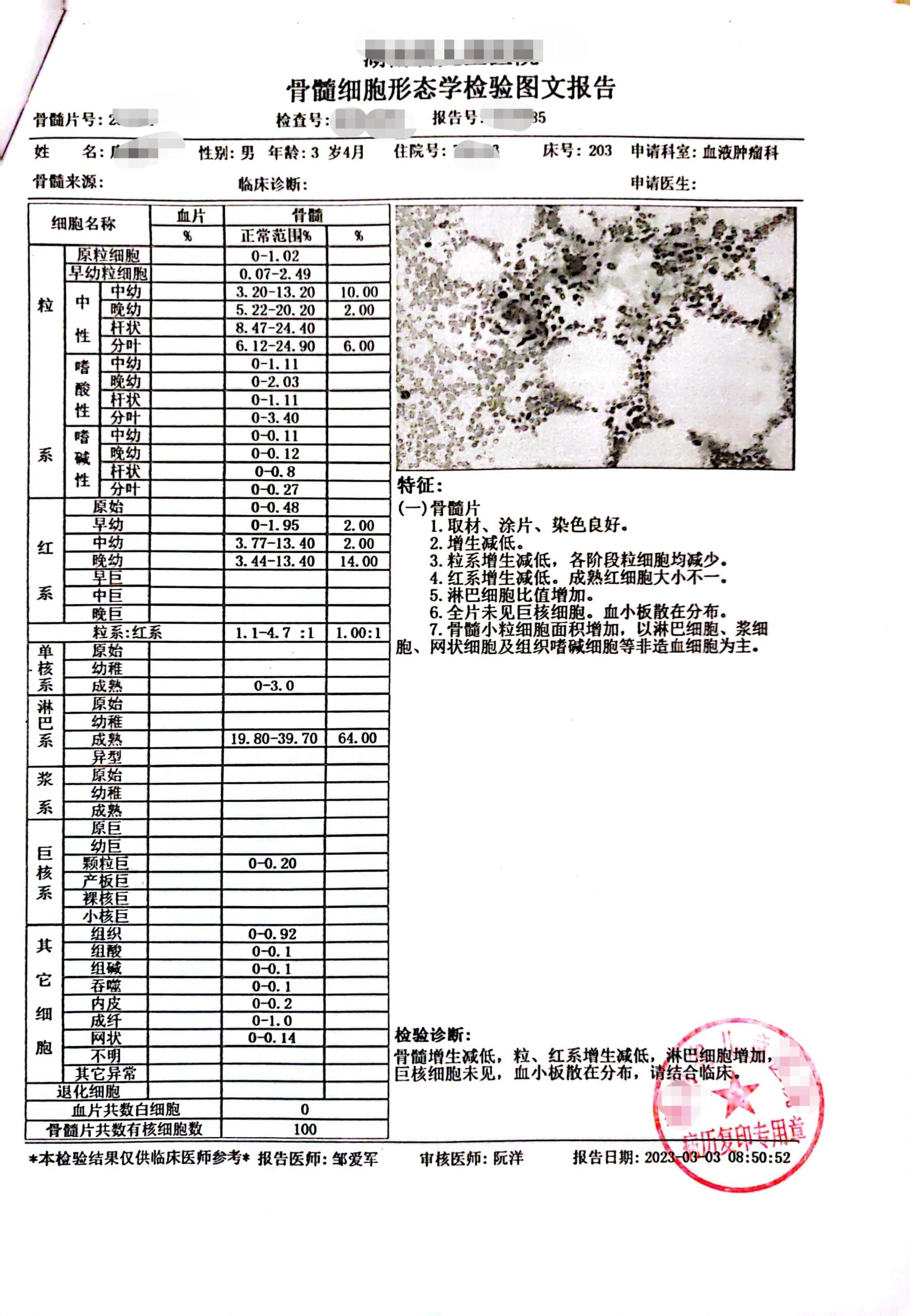 正常的骨穿报告结果图图片