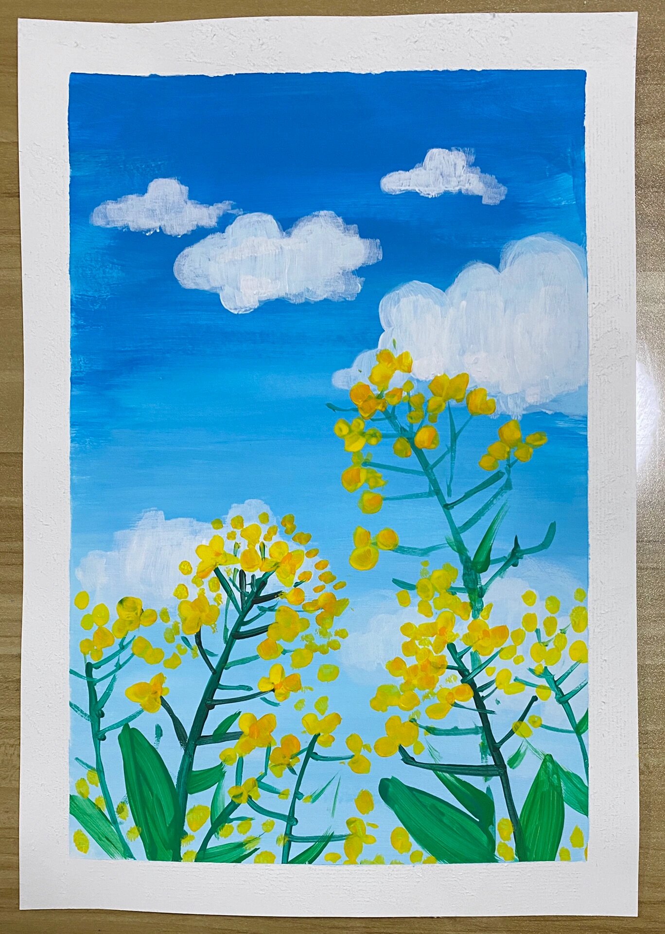 水粉《油菜花》 春天的油菜花是很好的绘画题材 水粉油菜花范画➕