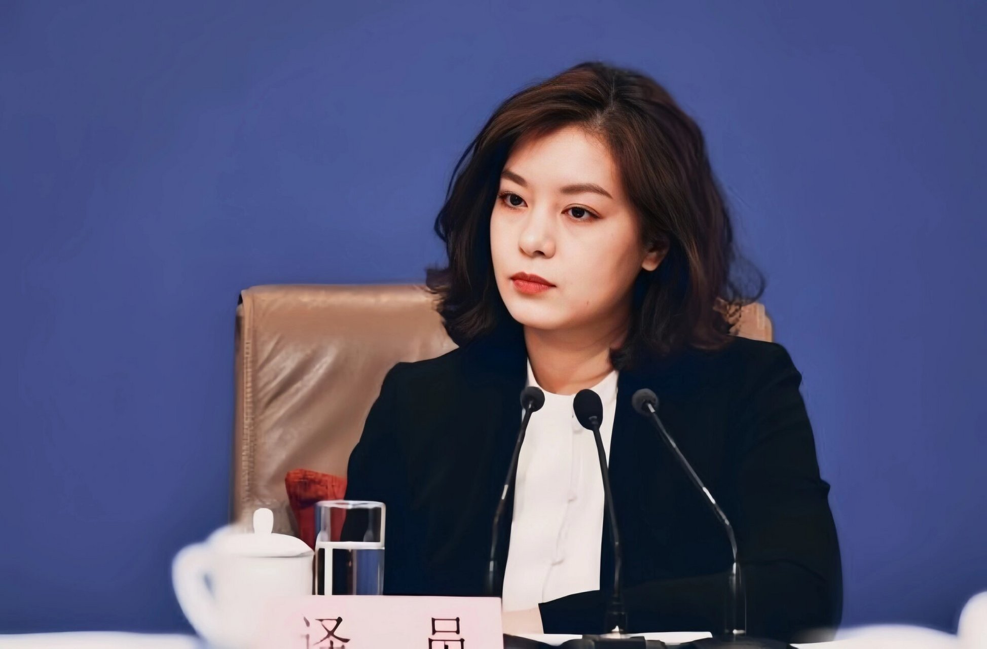 张京-她符合我对高知女性的所有幻想 她现任外交部翻译司高级翻译