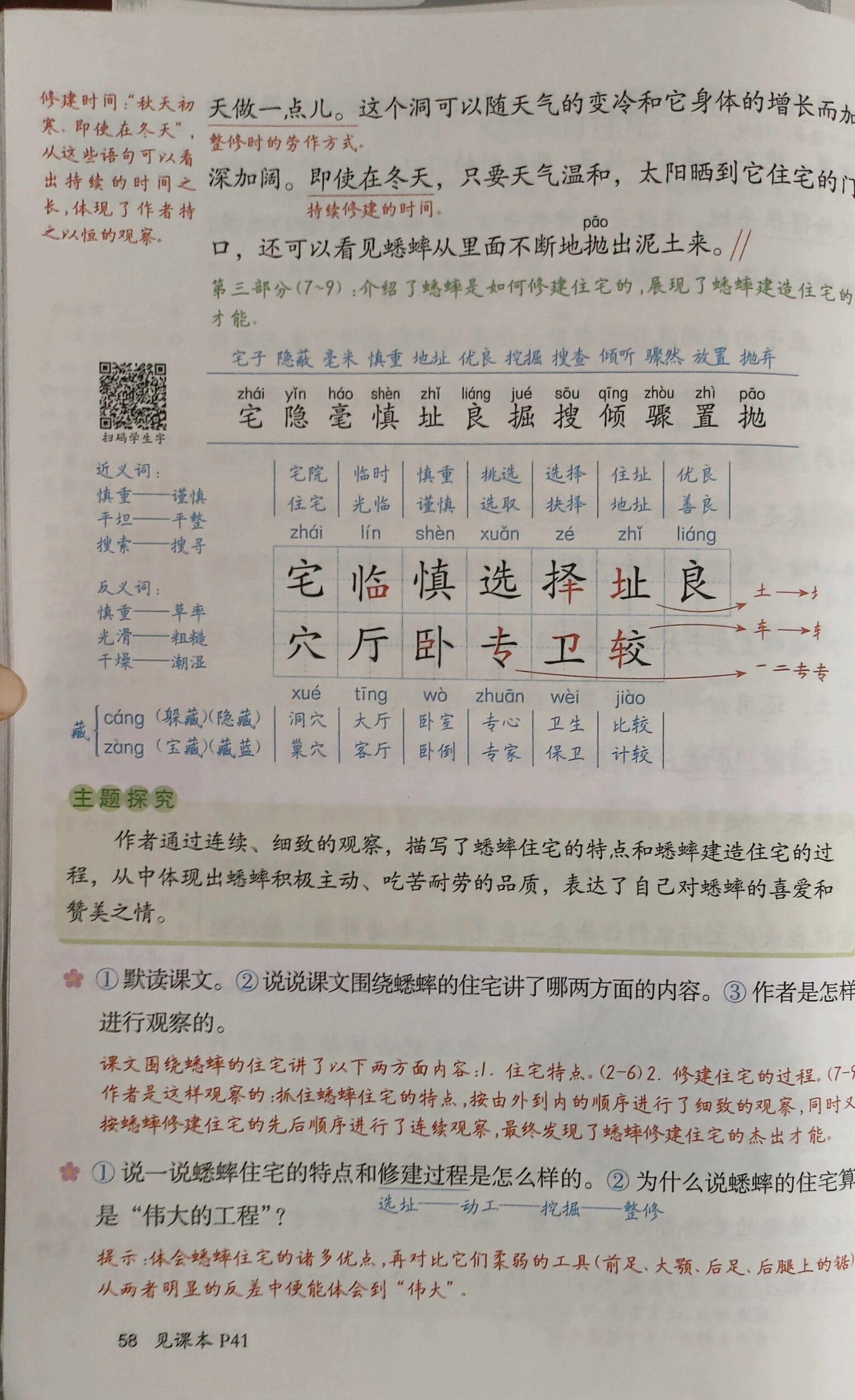 蟋蟀的住宅提问题图片