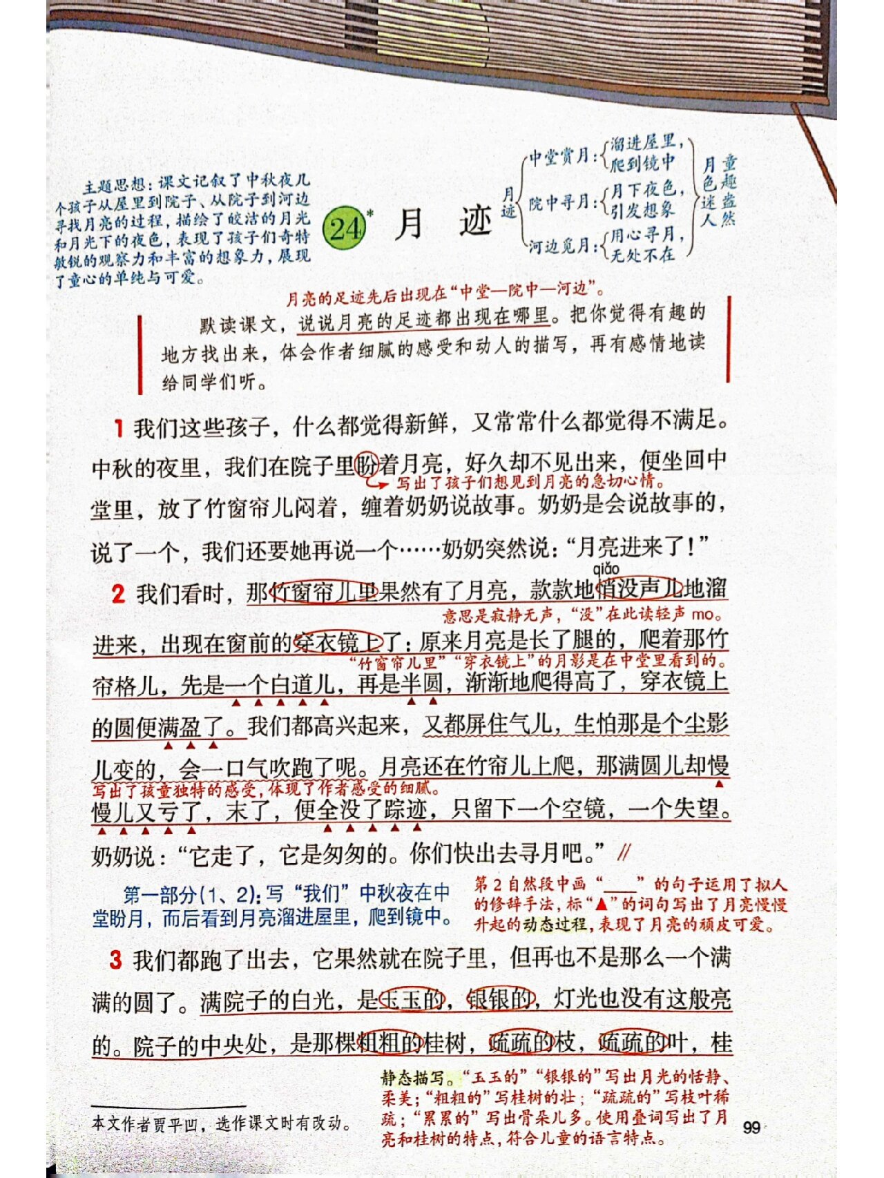 五上语文24《月迹》课堂笔记