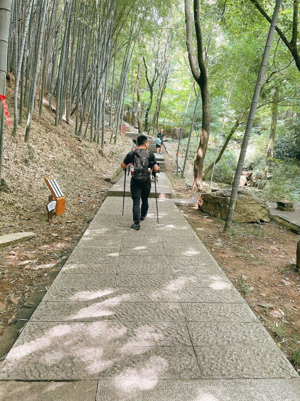 10 苏州穹窿山 一直耳闻穹窿山"小恐龙"徒步路线,周末跟着小伙伴一起