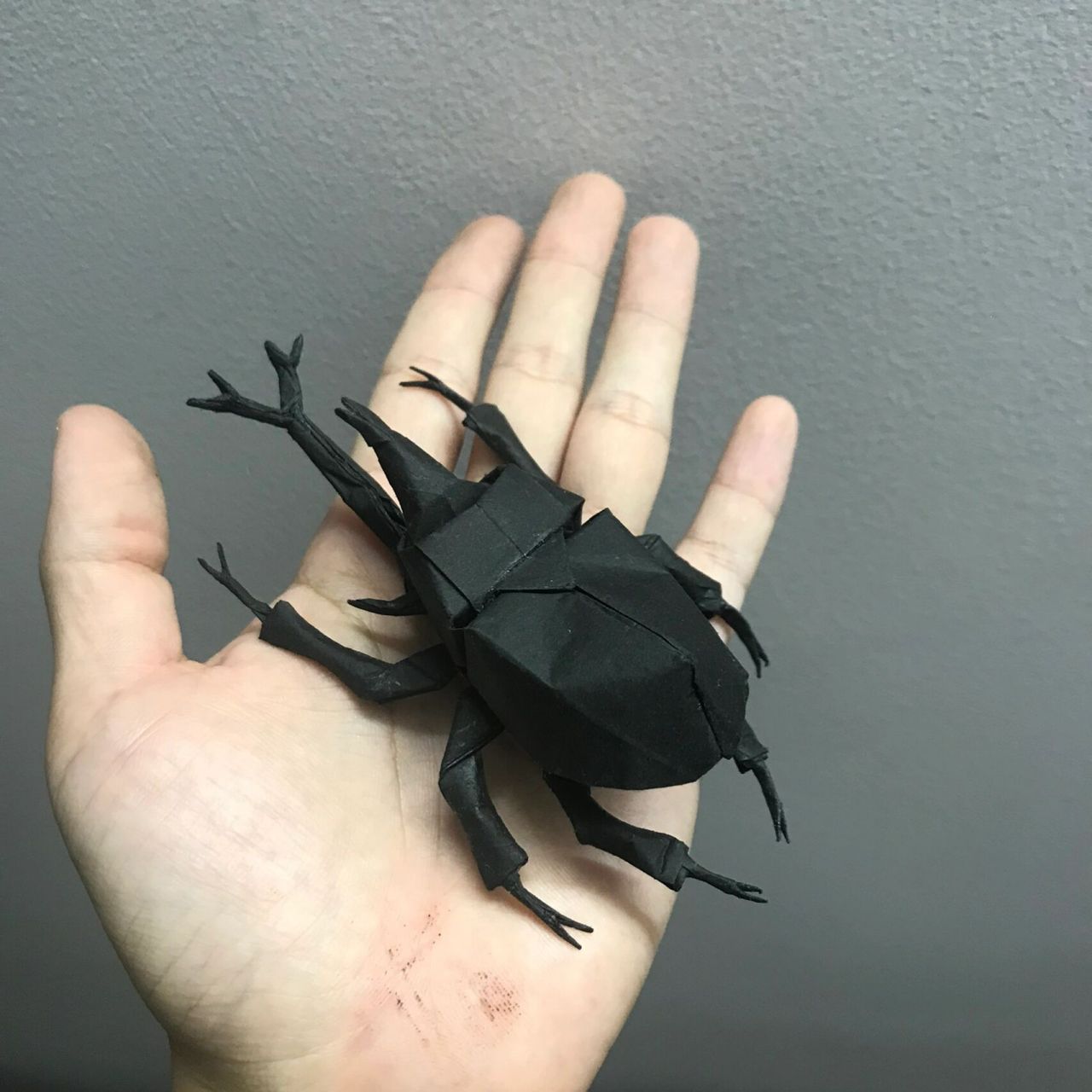 日本甲虫折纸教程图片