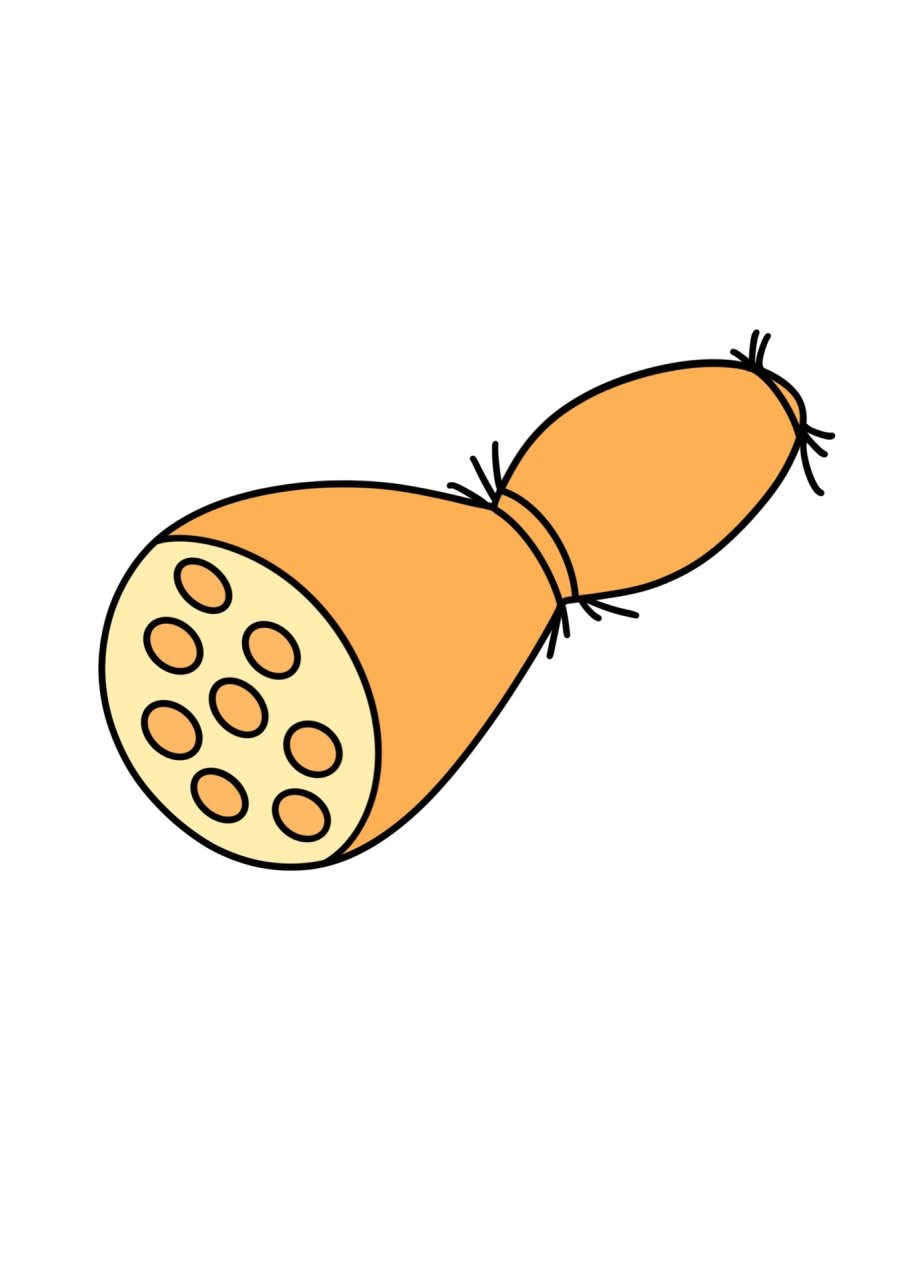 简笔画教程分享 莲藕 #简笔画教程# #简笔画# #画个简笔画# #儿童简笔