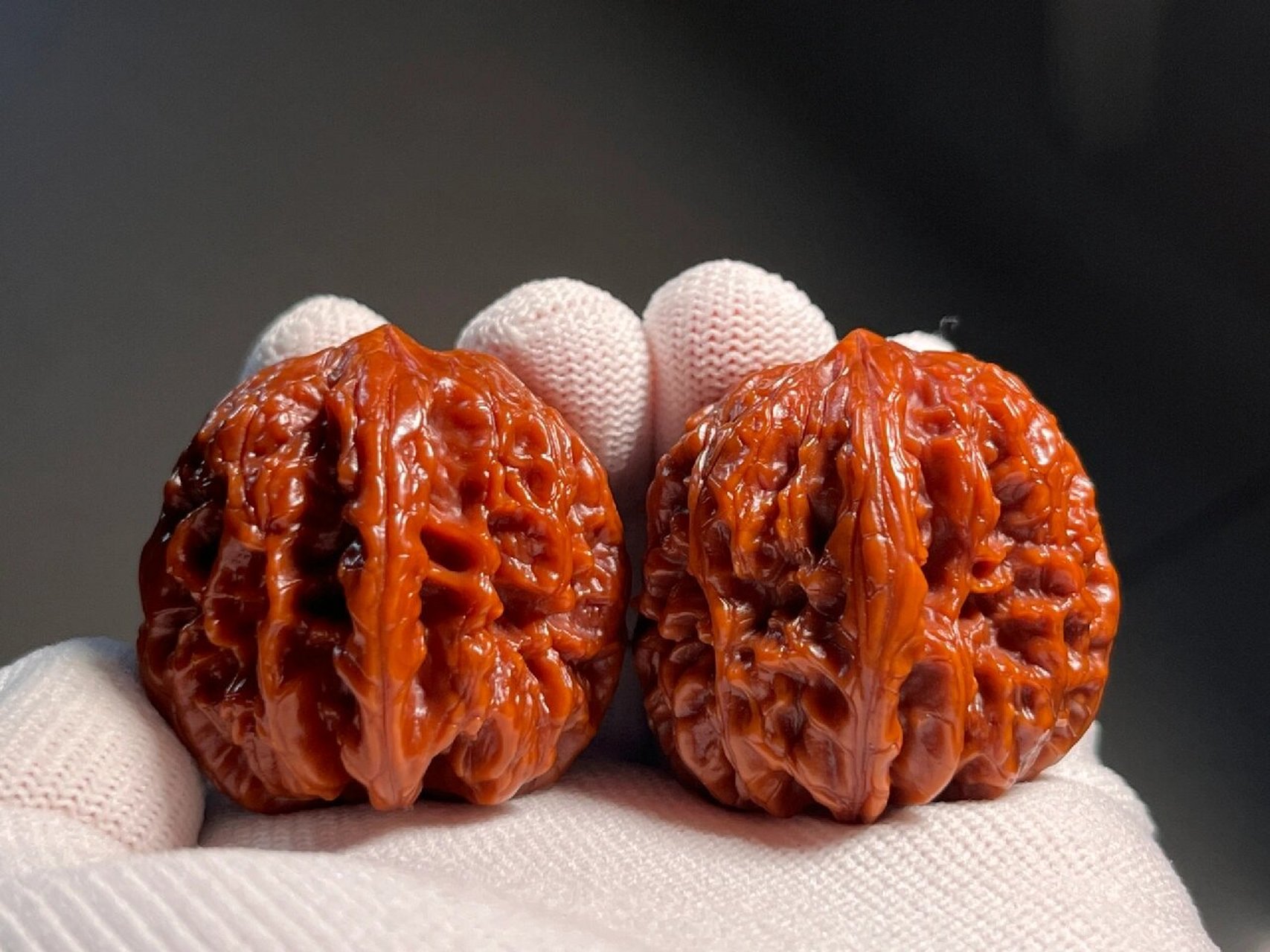 28截拍】平谷暴雪狮子头拍卖 相似度95%的一对平谷暴雪,高端小众品种