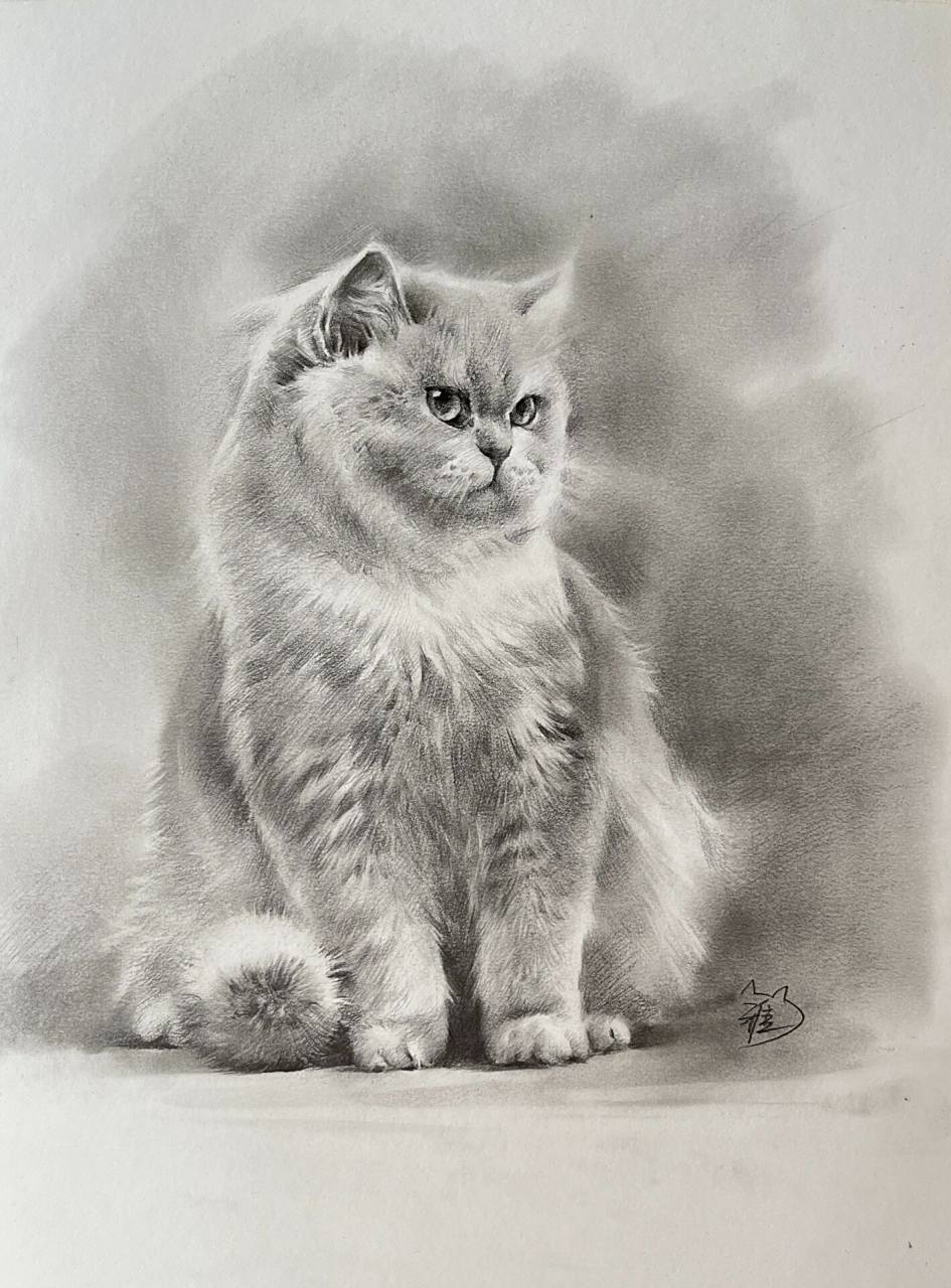 猫咪素描基础课— 不给小鱼干不高兴 回答一些私信的问题 我用的啥