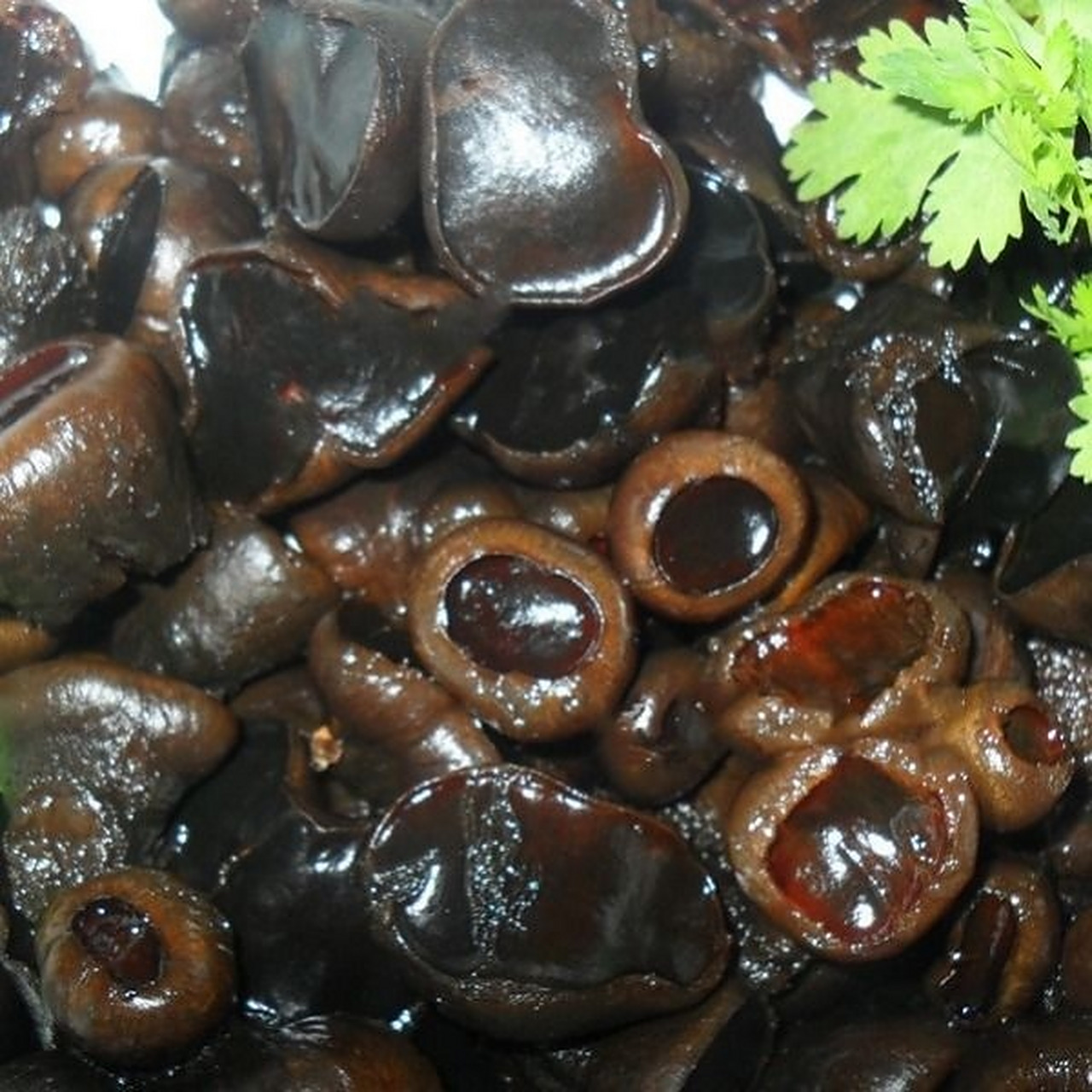 长白山野生猪嘴蘑 猪嘴蘑,他之所以会起这个名