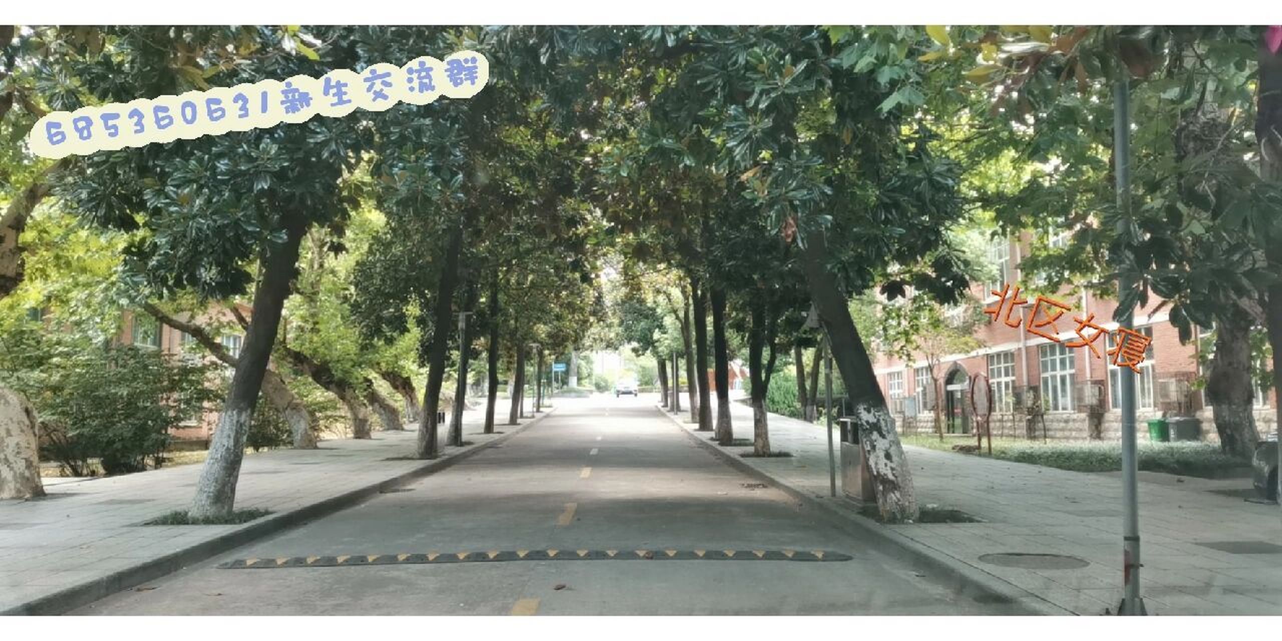 江西财经职业学院 九江校区  学校环境,除了北区食堂还有南区食堂