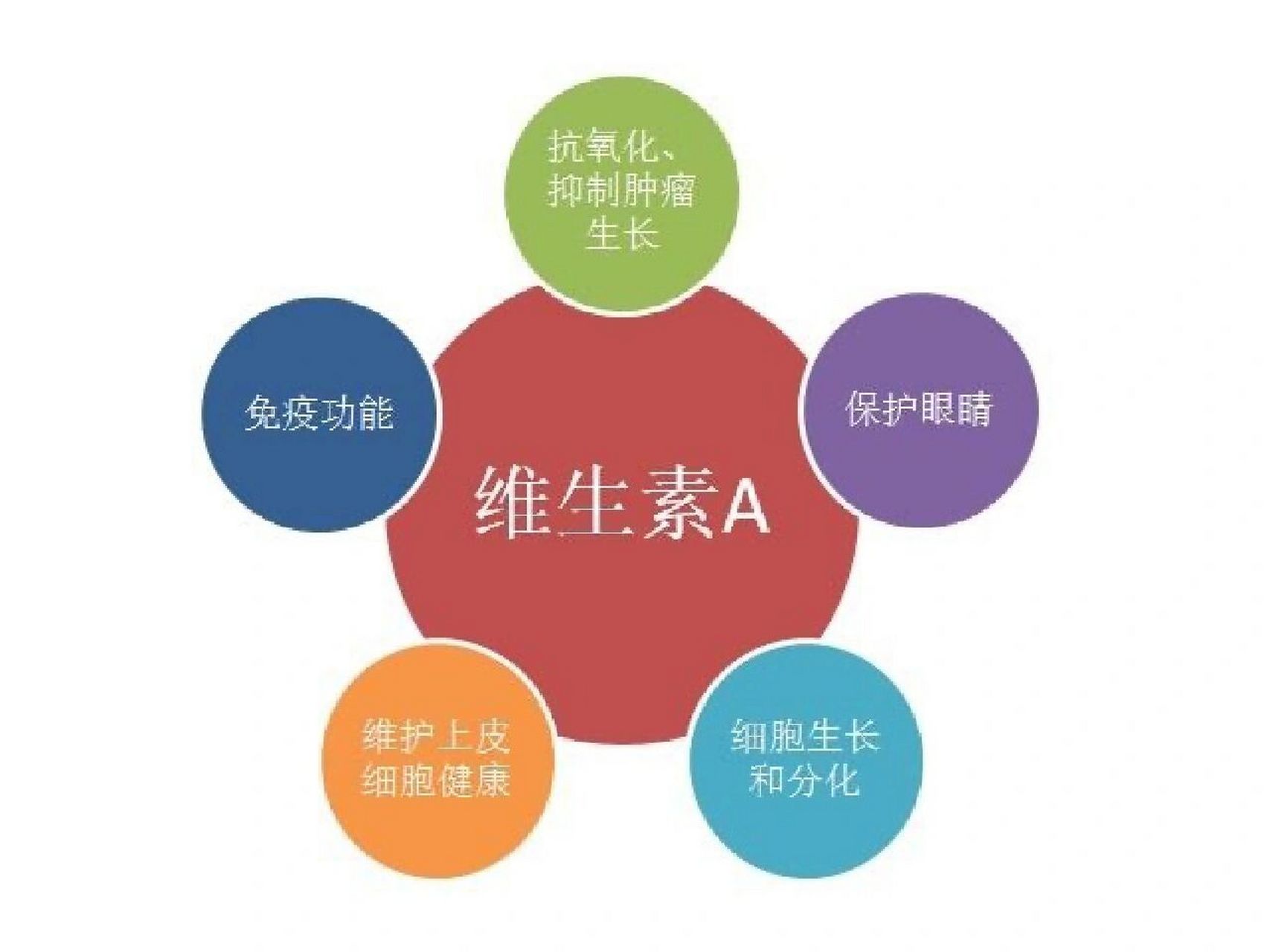 维生素a 维生素a是一种脂溶性维生素,又称视黄醇或抗干眼病因子,是