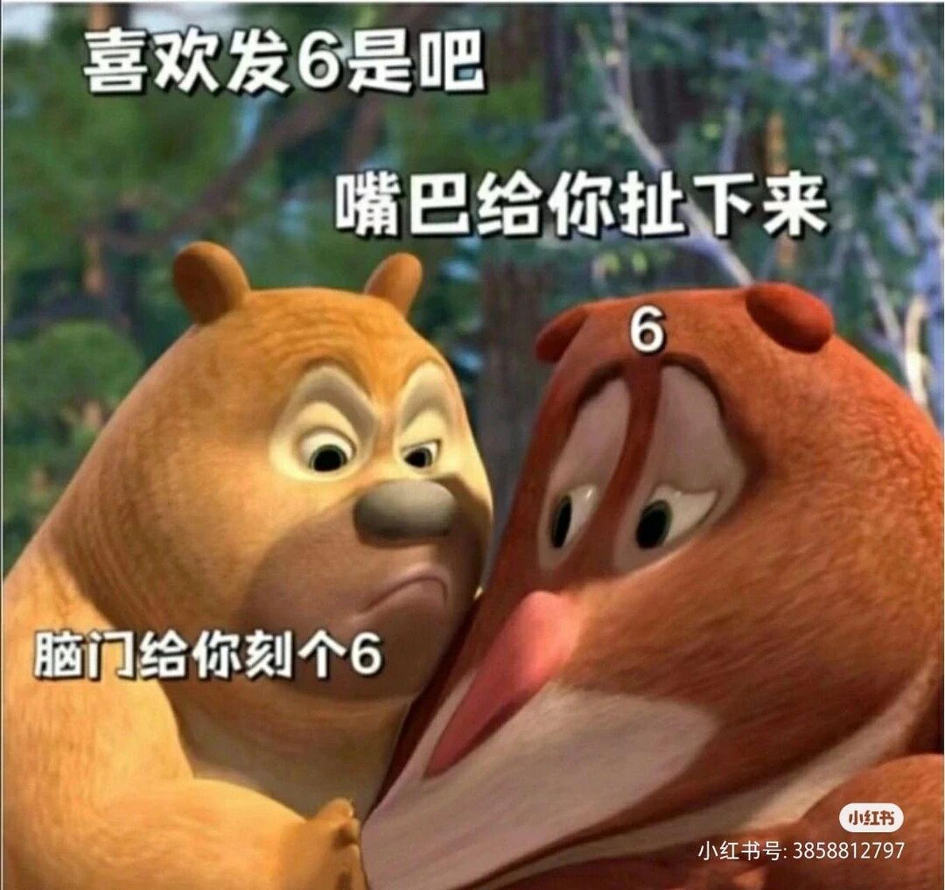 滿級表情包 6🐒