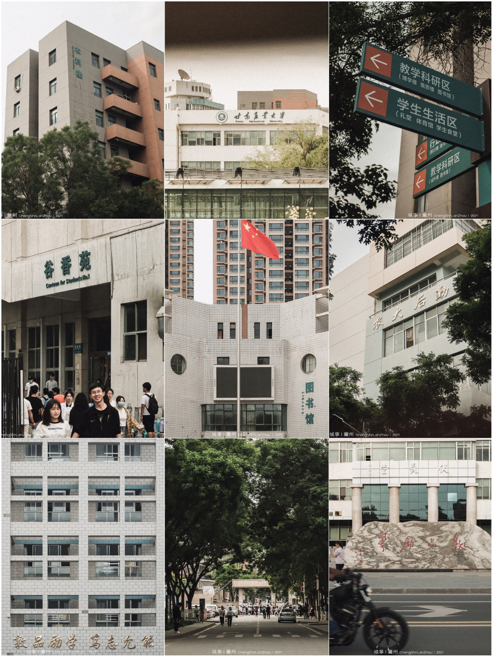 城事·兰州 | 甘肃农业大学 我想了所有关于风景的文案 都抵不过美丽