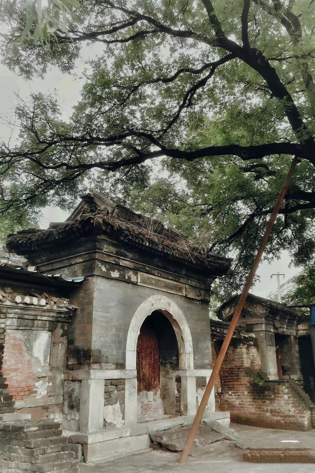 海淀延庆寺 感谢小石榴提供精彩素材.