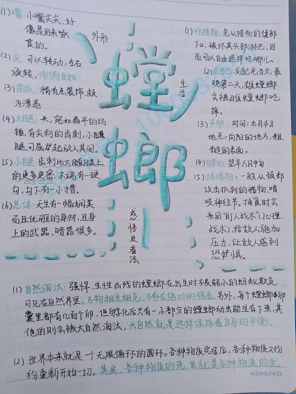 昆虫记 思维导图 内容有螳螂 萤火虫 圣甲虫 蝉 大孔雀蝶 又更新啦