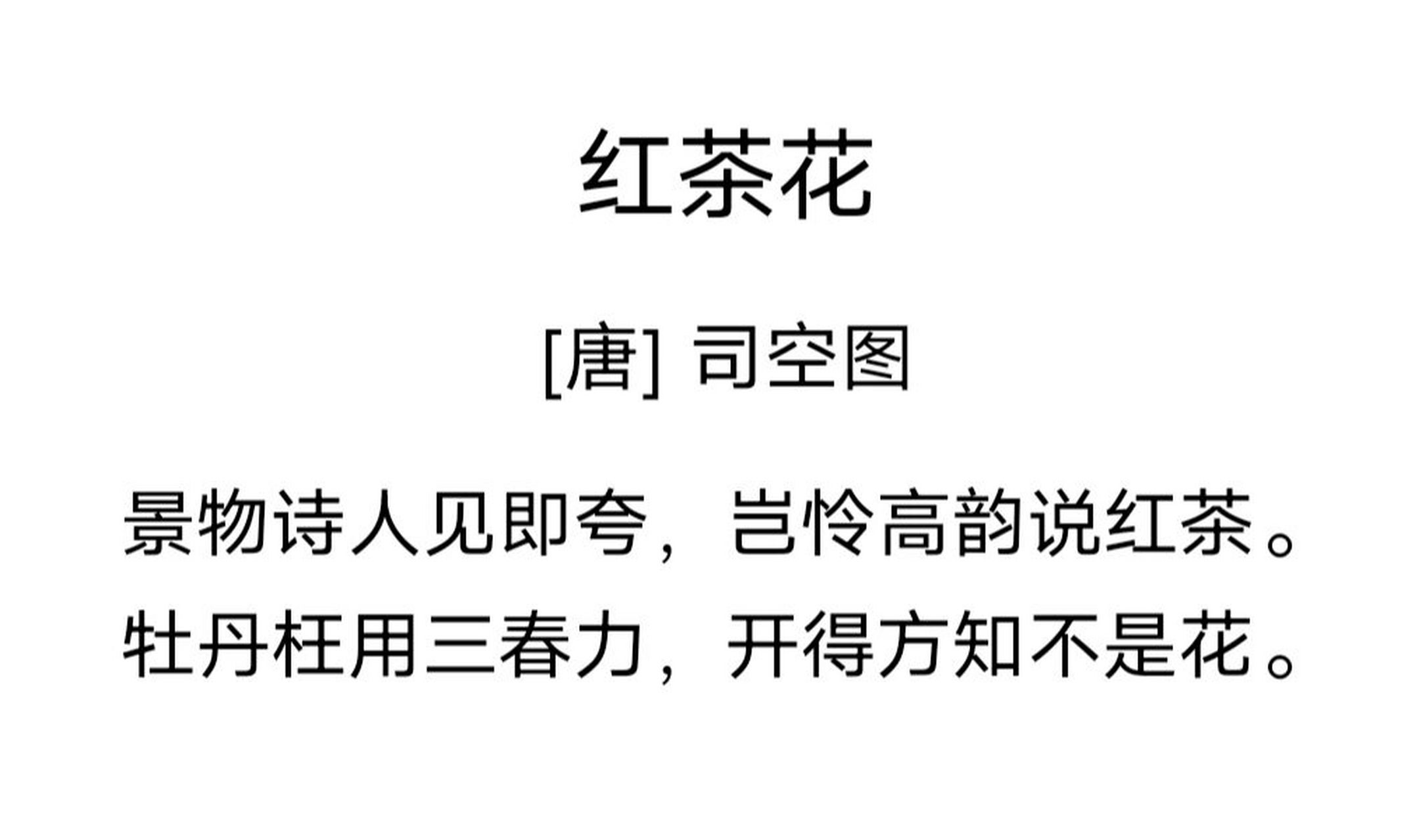 古人描写山茶花的诗词