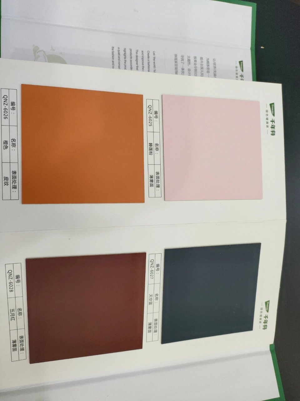 本厂配套柜体千年舟颜色品鉴.