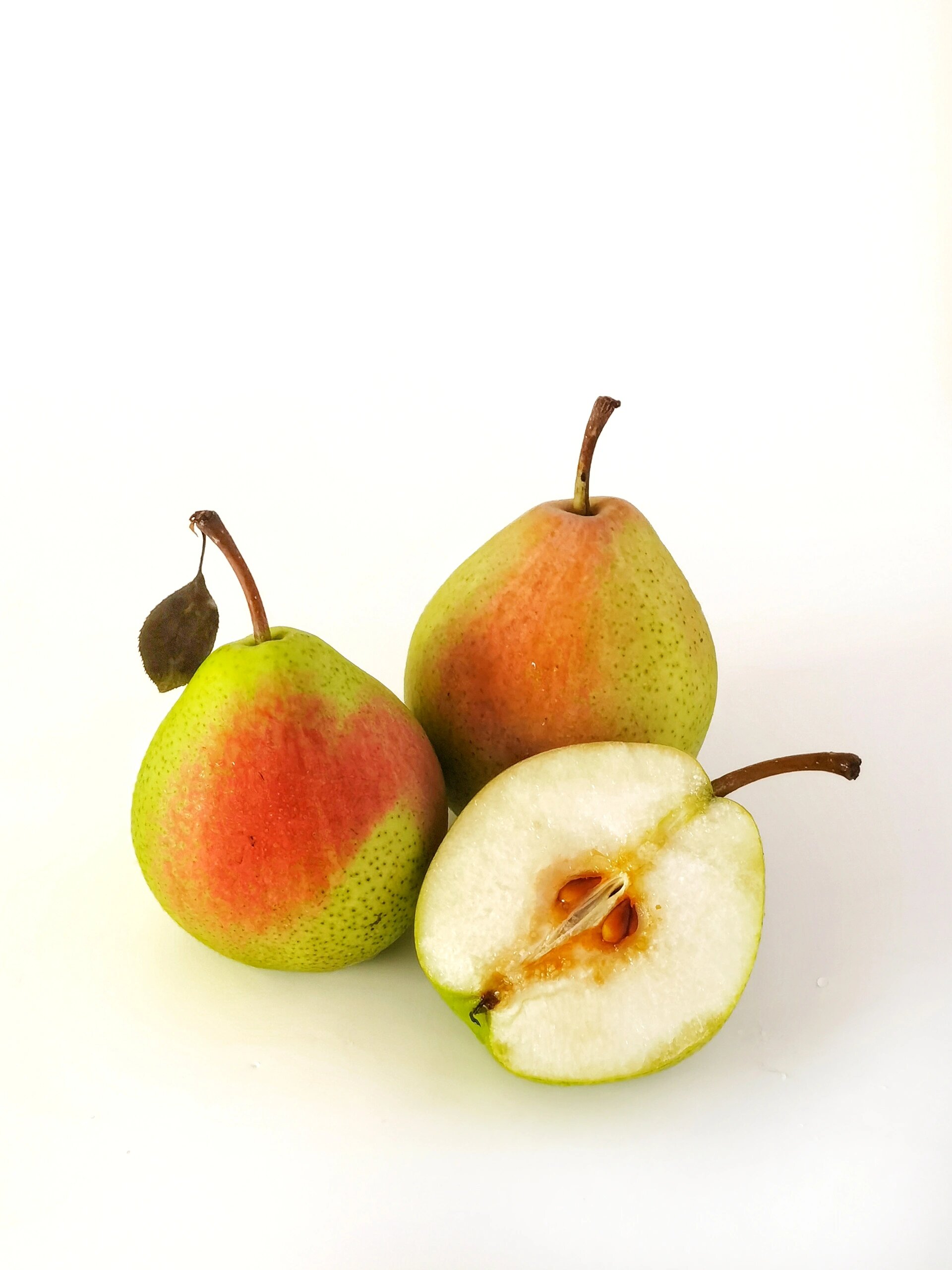 绘画素材286:七月红梨子