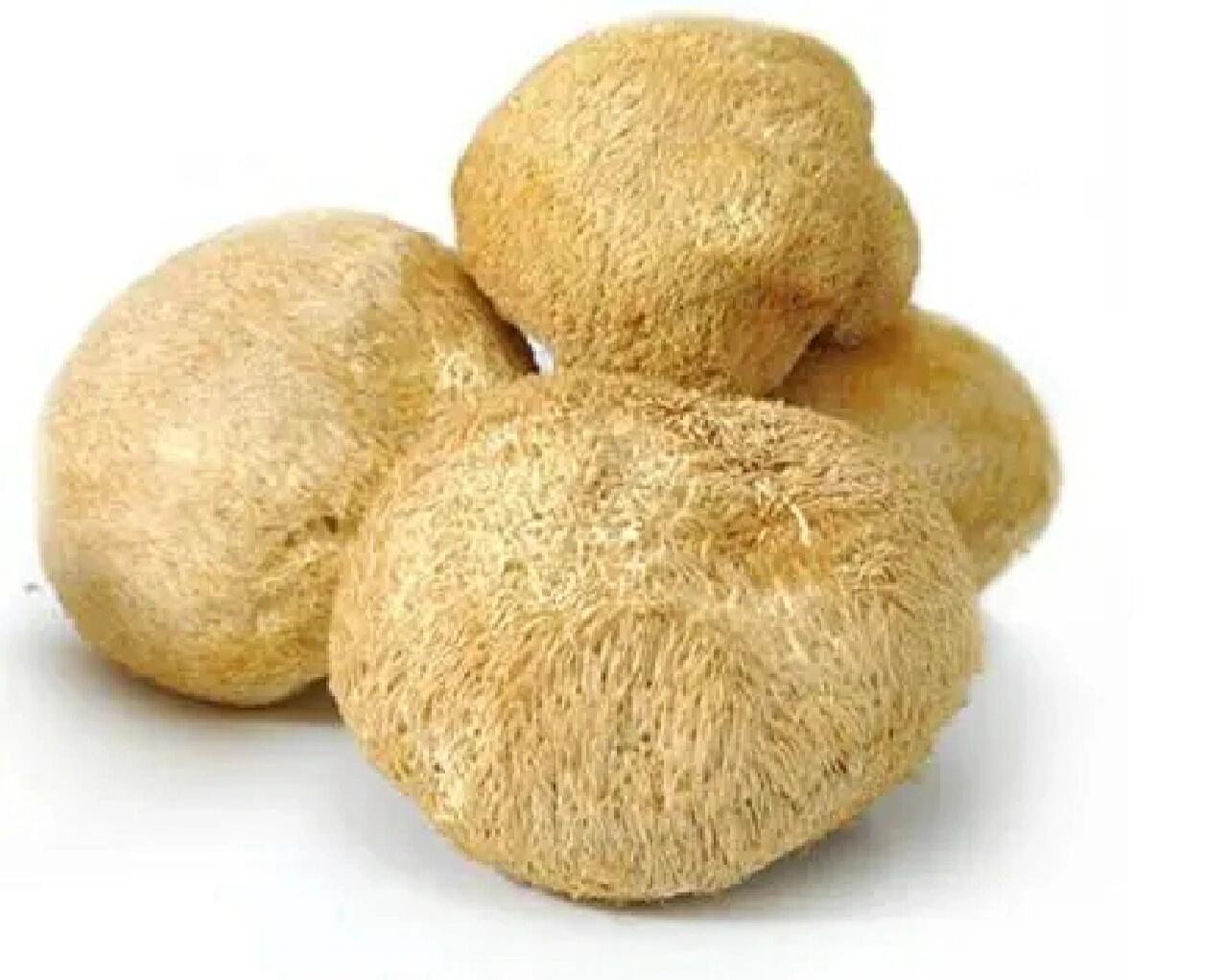 猴头菇的营养价值和功效作用是什么