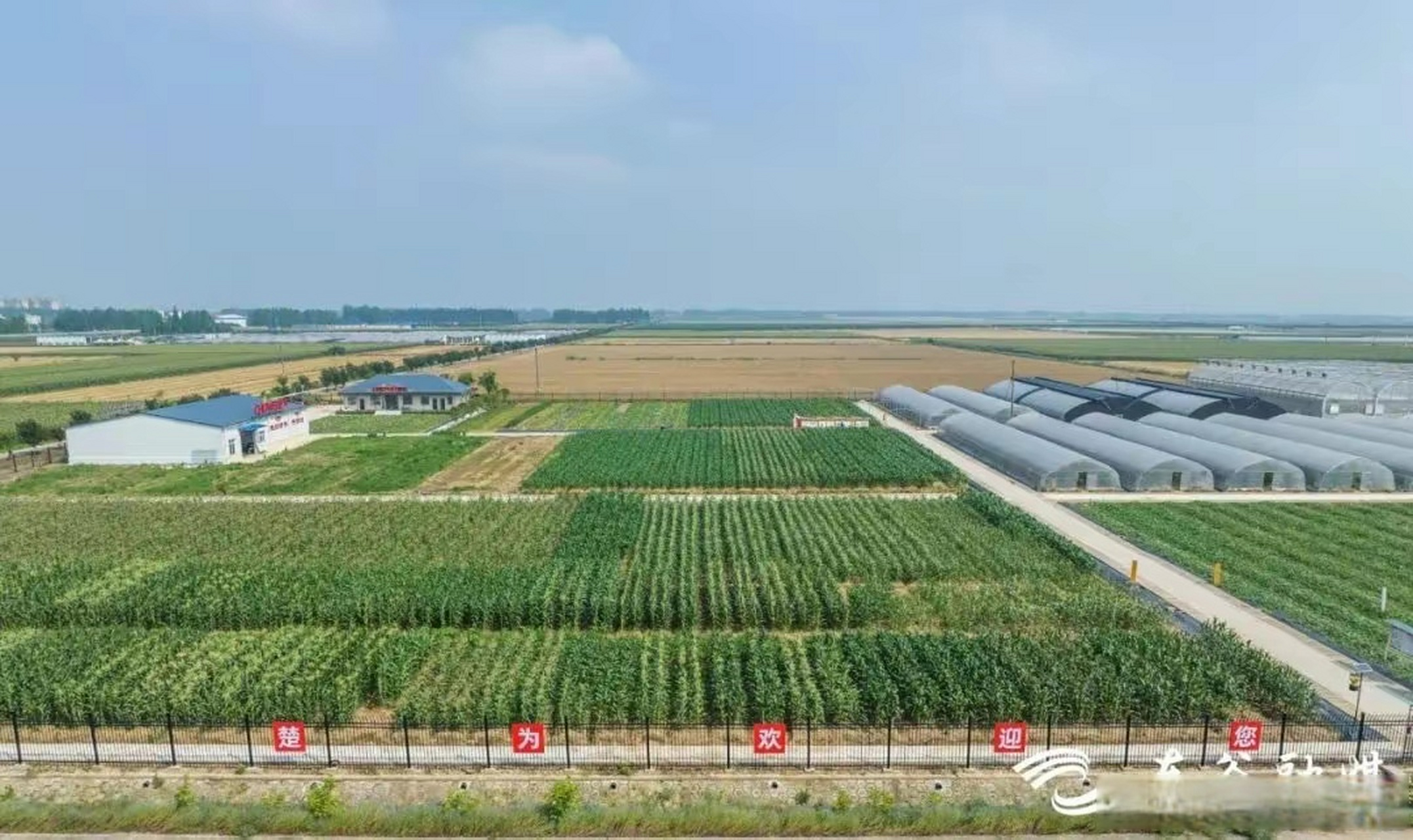 【百名"种业人"探访汉南现代种业小镇共话蔬菜产业高质量发展】6月3日