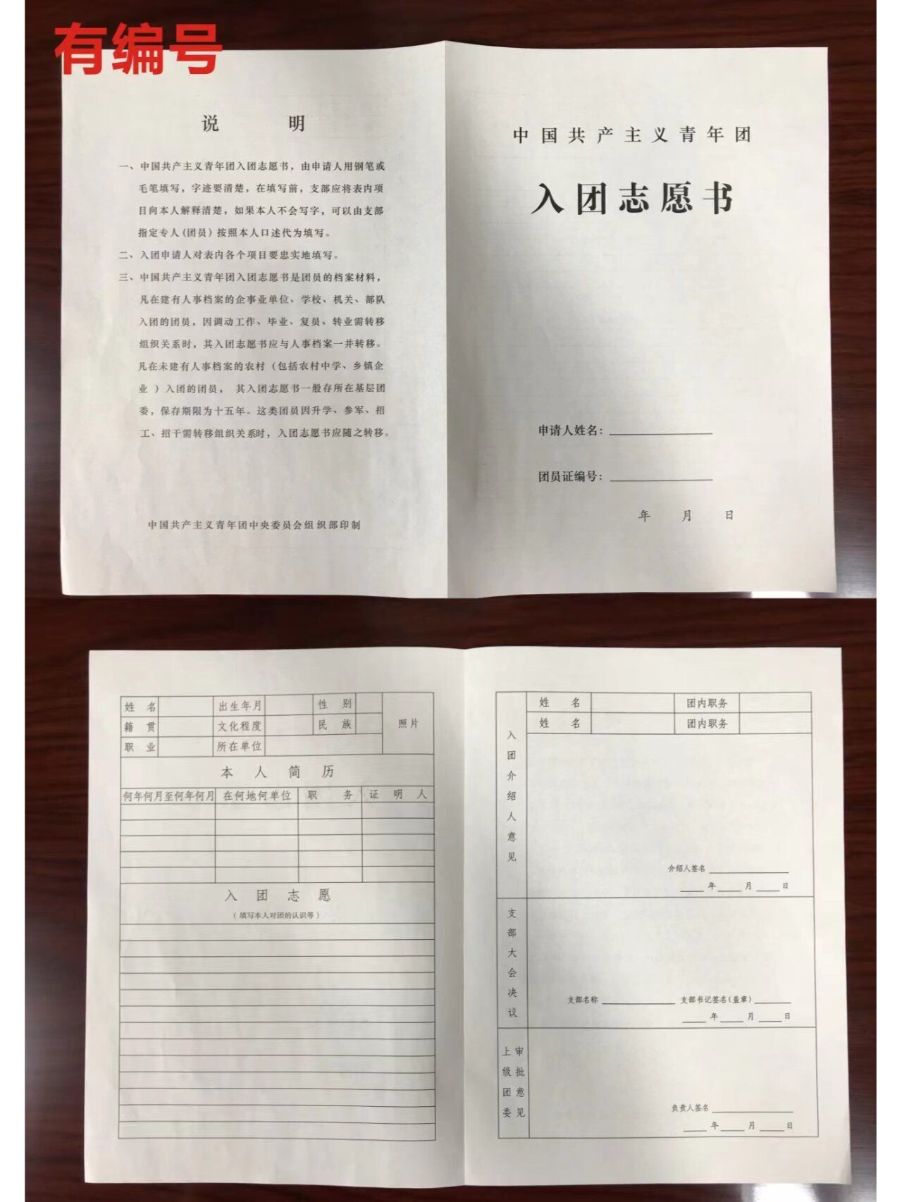 老团表样式图片