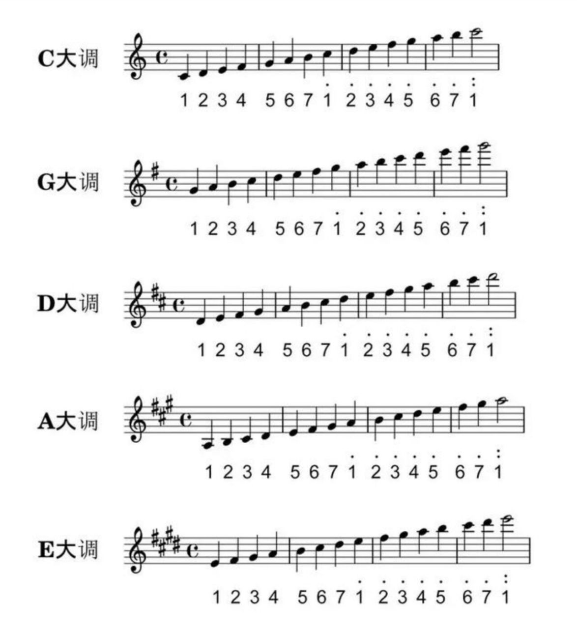 简谱和五线谱互译 我们有些成人朋友在学习钢琴时,常常找不到想要演奏