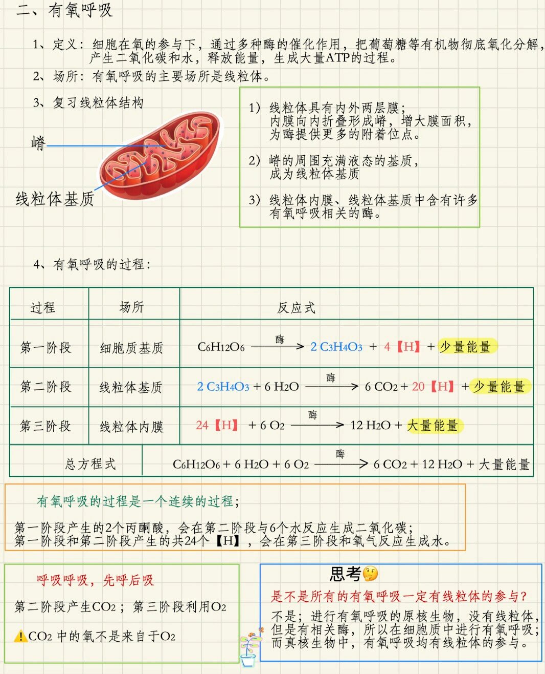 有氧呼吸的过程