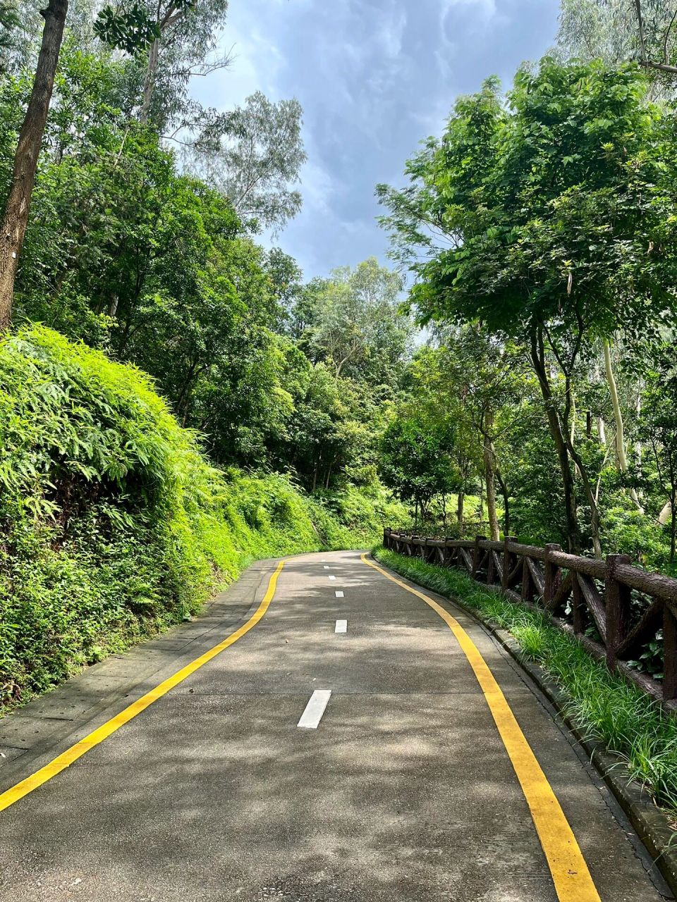 地点:深圳银湖山郊野公园(银湖山绿道),这次主要走的是绿道