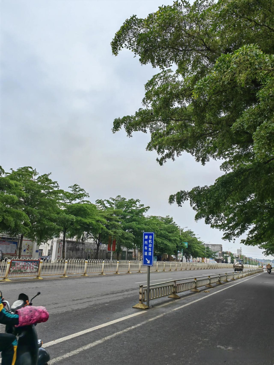 湛江雷州天气图片