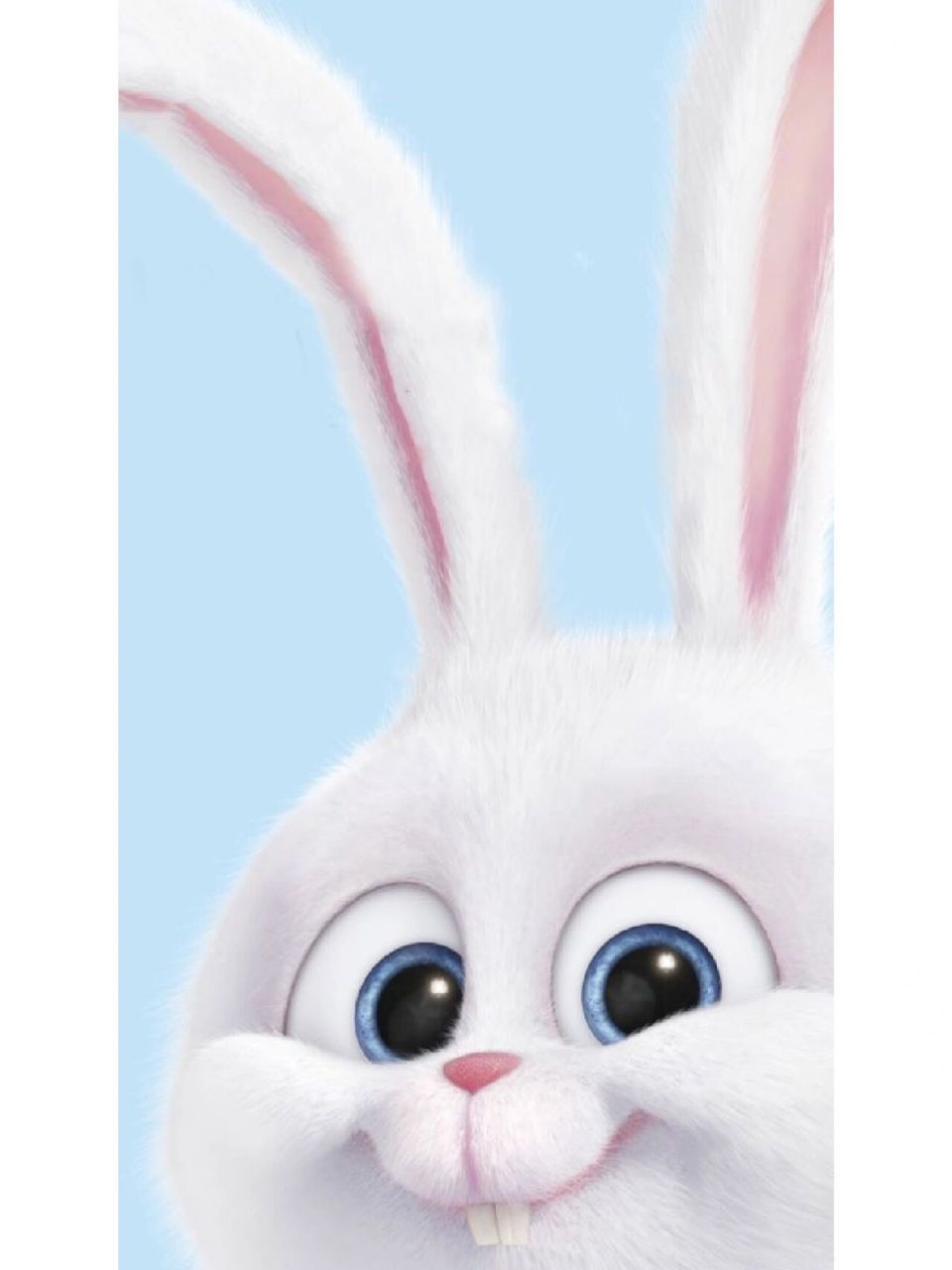 壁纸分享第②期 兔子雪球 爱宠里的兔子老大真的超可爱der~ 外表上