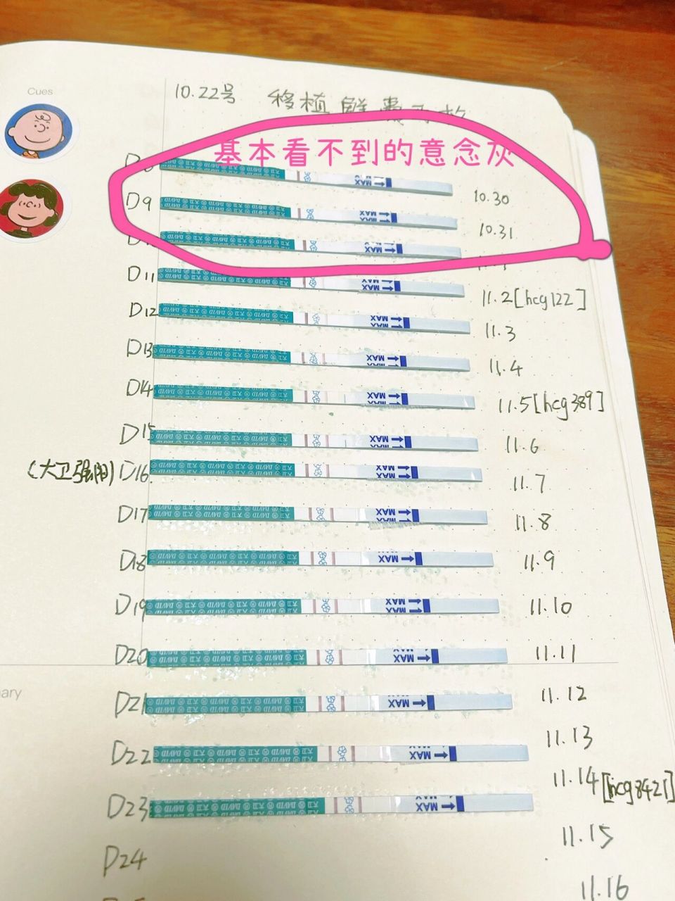 试管移植后的23天 大卫前期加深超级慢 移植后第八天就测出来"意见灰"