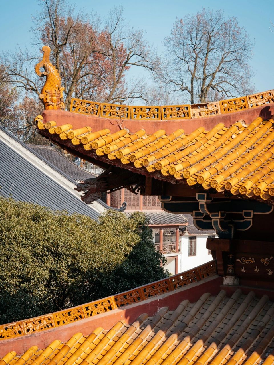 岳麓山古麓山寺图片