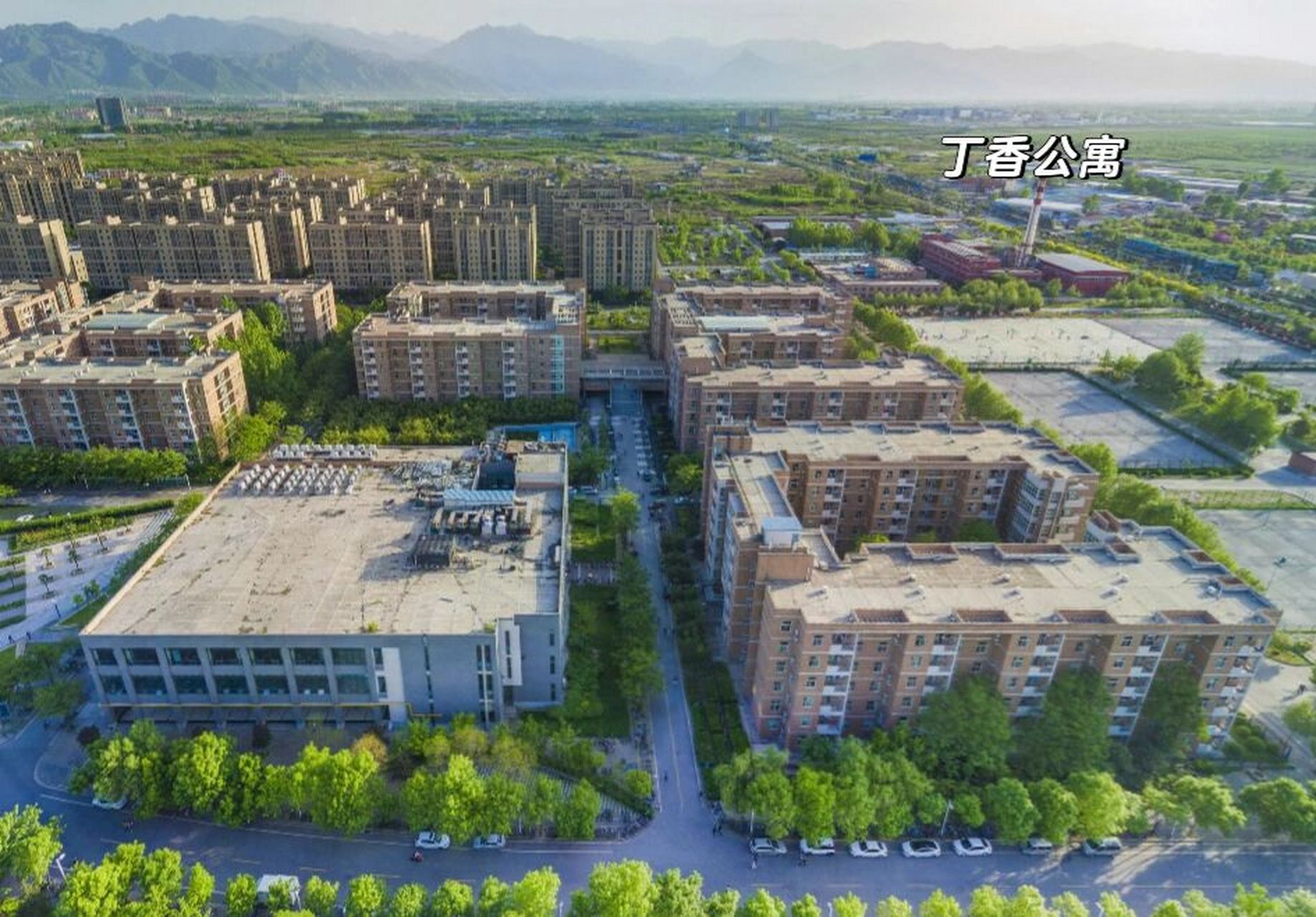 第二弹:宿舍篇 78 part one:来看看学校的三大宿舍吧 166 海棠