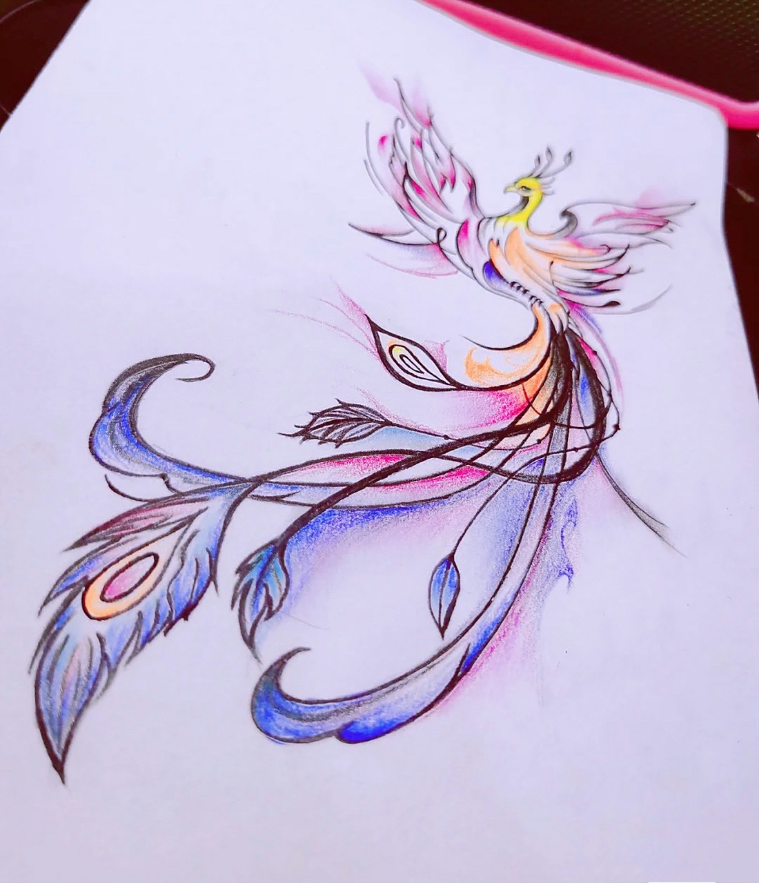 凤凰纹身手稿