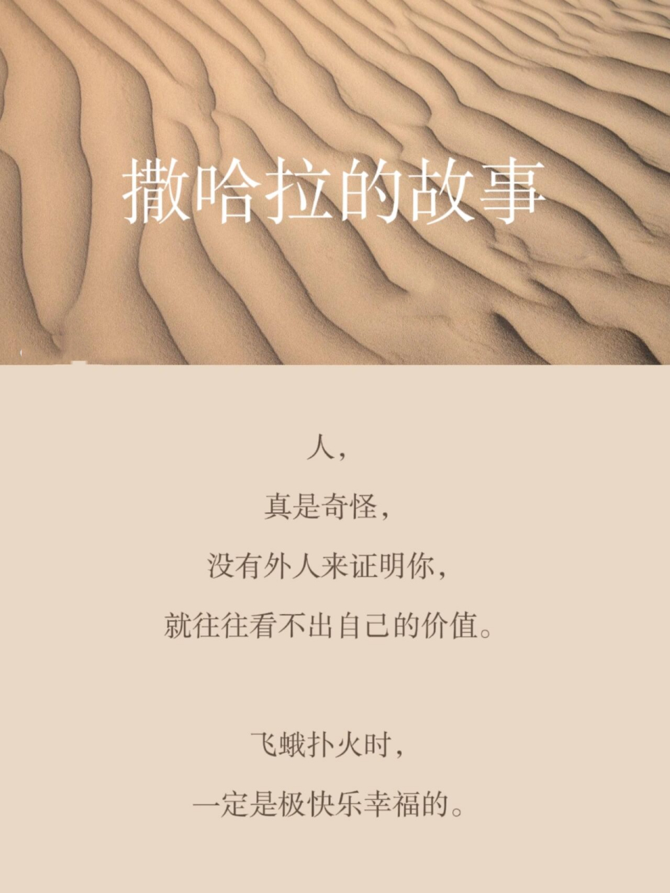 撒哈拉的故事好句图片