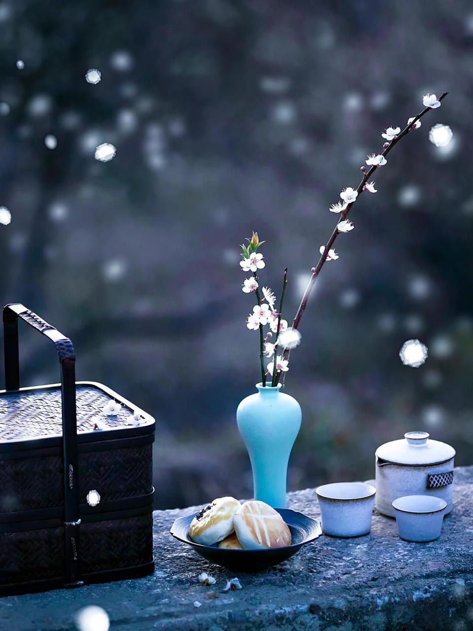 一组古风禅意梅花图片送给大家,祝大家新年 一组古风禅意梅花图片送给