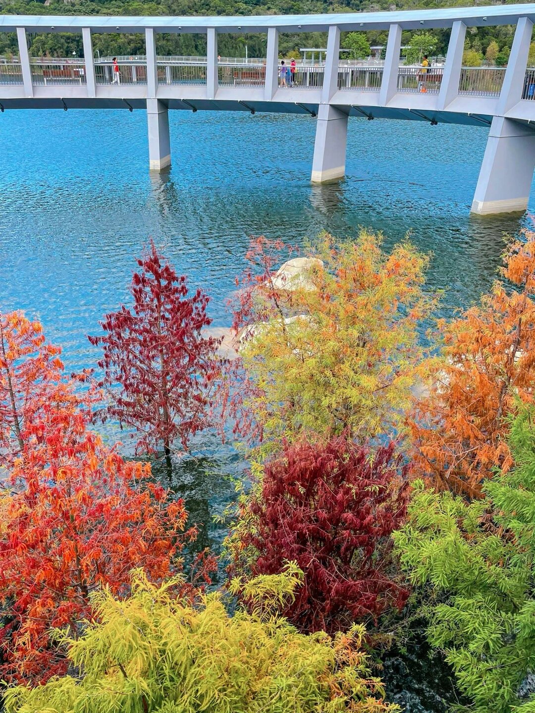 东坪山的东山水库