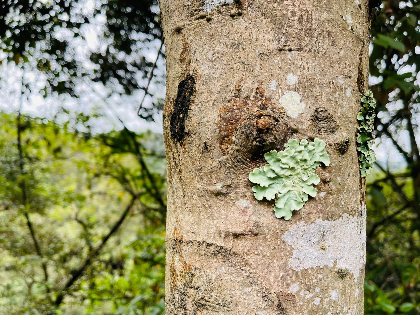 武宁县长水村 偶然发现一块纯净的村庄,位于江西省九江市武宁县长水村