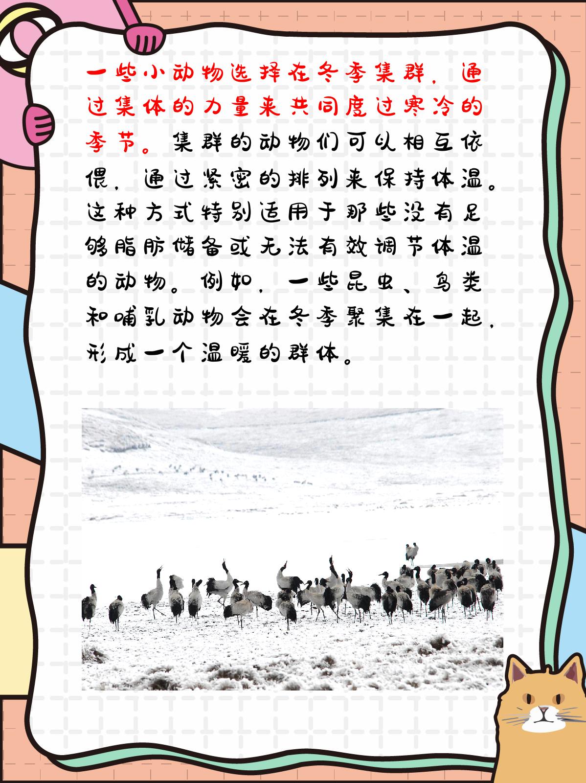 冬天小动物们怎么过冬